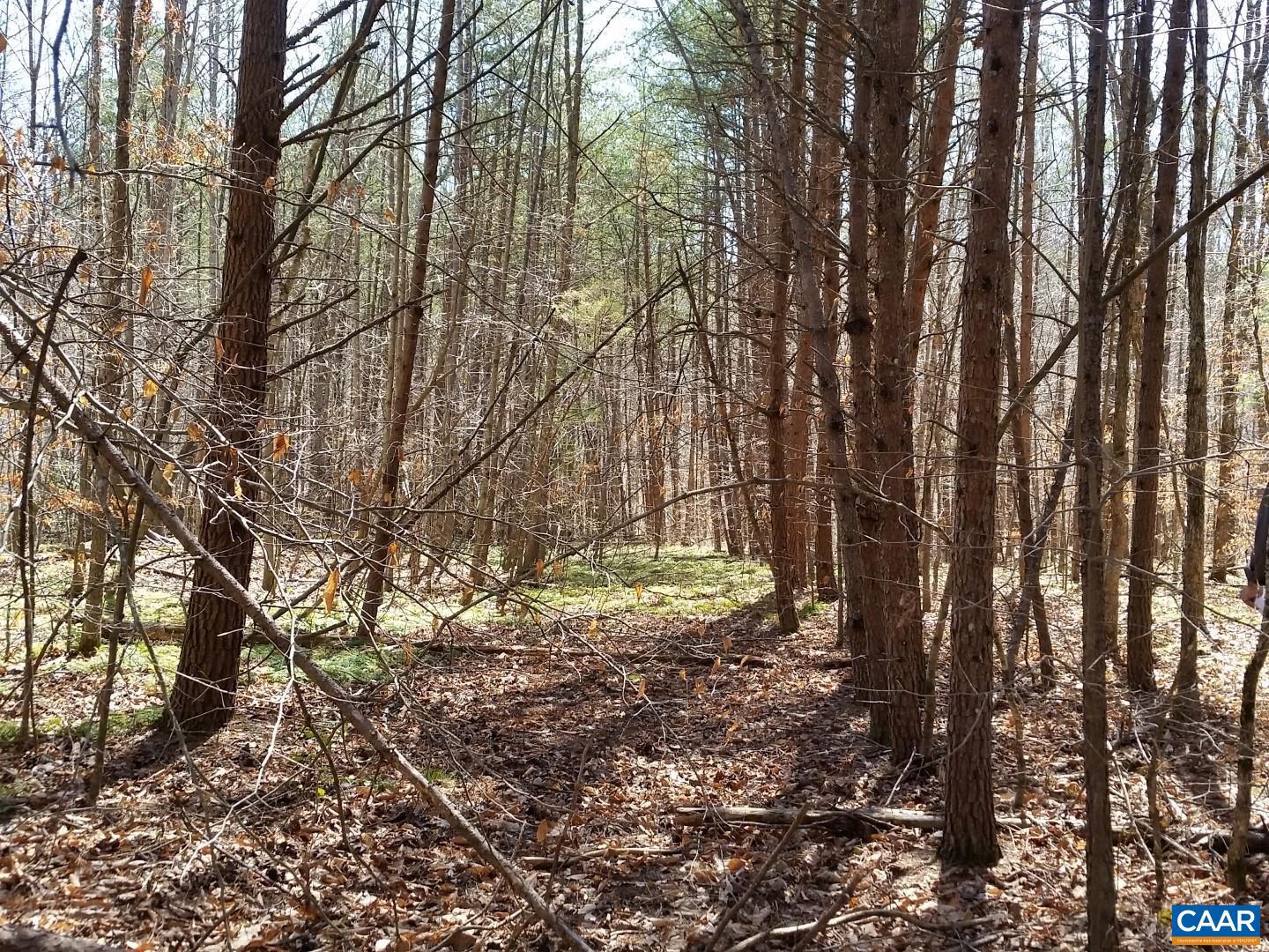 2647 PENNY LN, CHARLOTTESVILLE, Virginia 22901, ,Land,For Sale,2647 PENNY LN,670689 MLS # 670689 2647 PENNY LN, CHARLOTTESVILLE, Virginia 22901, ,Land,For Sale,2647 PENNY LN,670689 MLS # 670689