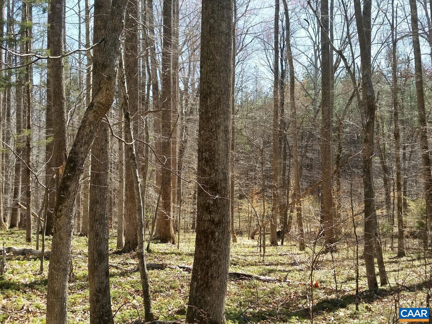 2647 PENNY LN, CHARLOTTESVILLE, Virginia 22901, ,Land,For Sale,2647 PENNY LN,670689 MLS # 670689 2647 PENNY LN, CHARLOTTESVILLE, Virginia 22901, ,Land,For Sale,2647 PENNY LN,670689 MLS # 670689