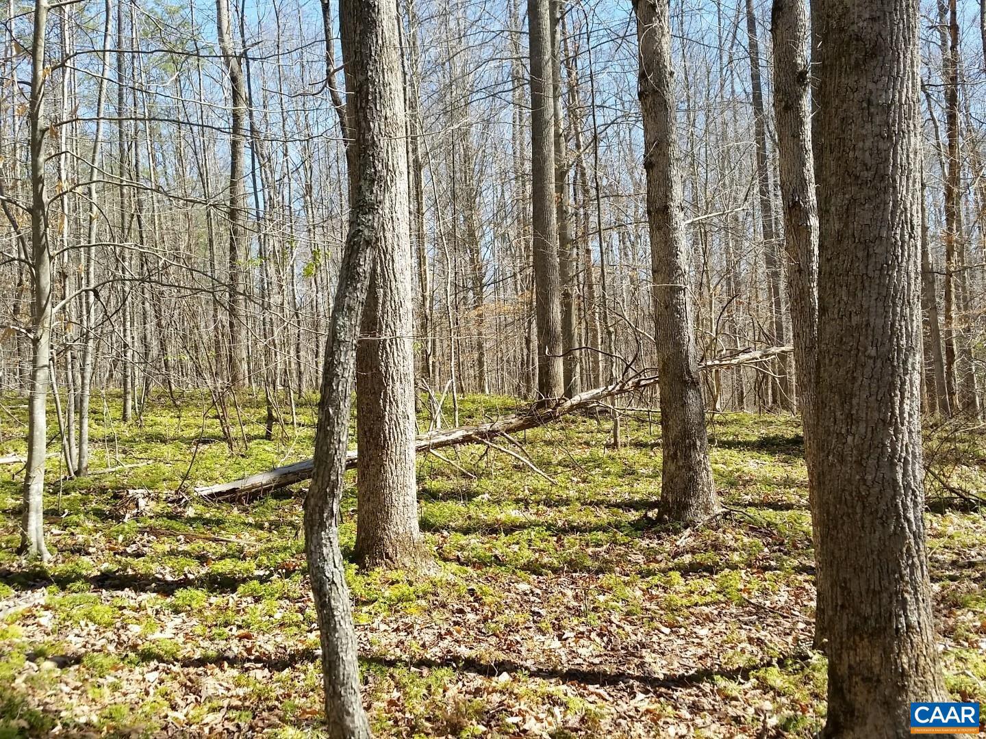 2647 PENNY LN, CHARLOTTESVILLE, Virginia 22901, ,Land,For Sale,2647 PENNY LN,670689 MLS # 670689 2647 PENNY LN, CHARLOTTESVILLE, Virginia 22901, ,Land,For Sale,2647 PENNY LN,670689 MLS # 670689