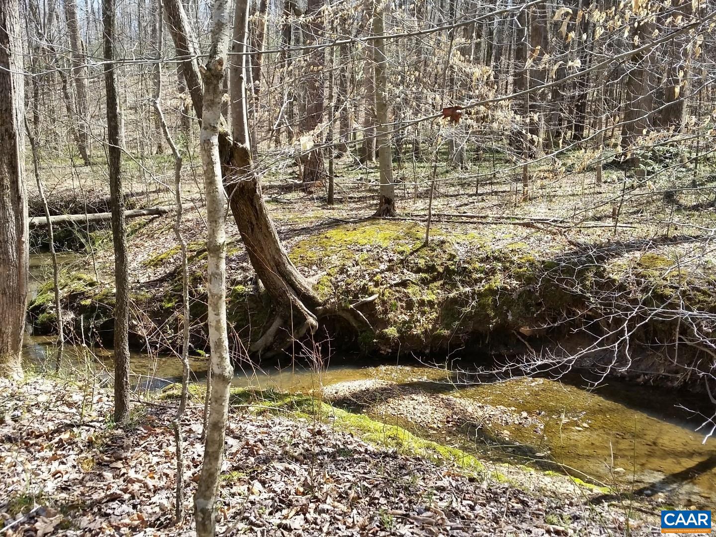 2647 PENNY LN, CHARLOTTESVILLE, Virginia 22901, ,Land,For Sale,2647 PENNY LN,670689 MLS # 670689 2647 PENNY LN, CHARLOTTESVILLE, Virginia 22901, ,Land,For Sale,2647 PENNY LN,670689 MLS # 670689