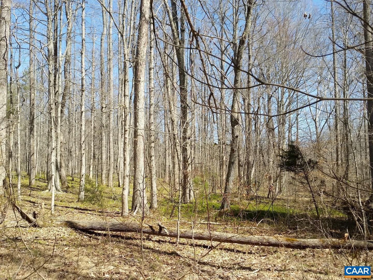 2647 PENNY LN, CHARLOTTESVILLE, Virginia 22901, ,Land,For Sale,2647 PENNY LN,670689 MLS # 670689 2647 PENNY LN, CHARLOTTESVILLE, Virginia 22901, ,Land,For Sale,2647 PENNY LN,670689 MLS # 670689