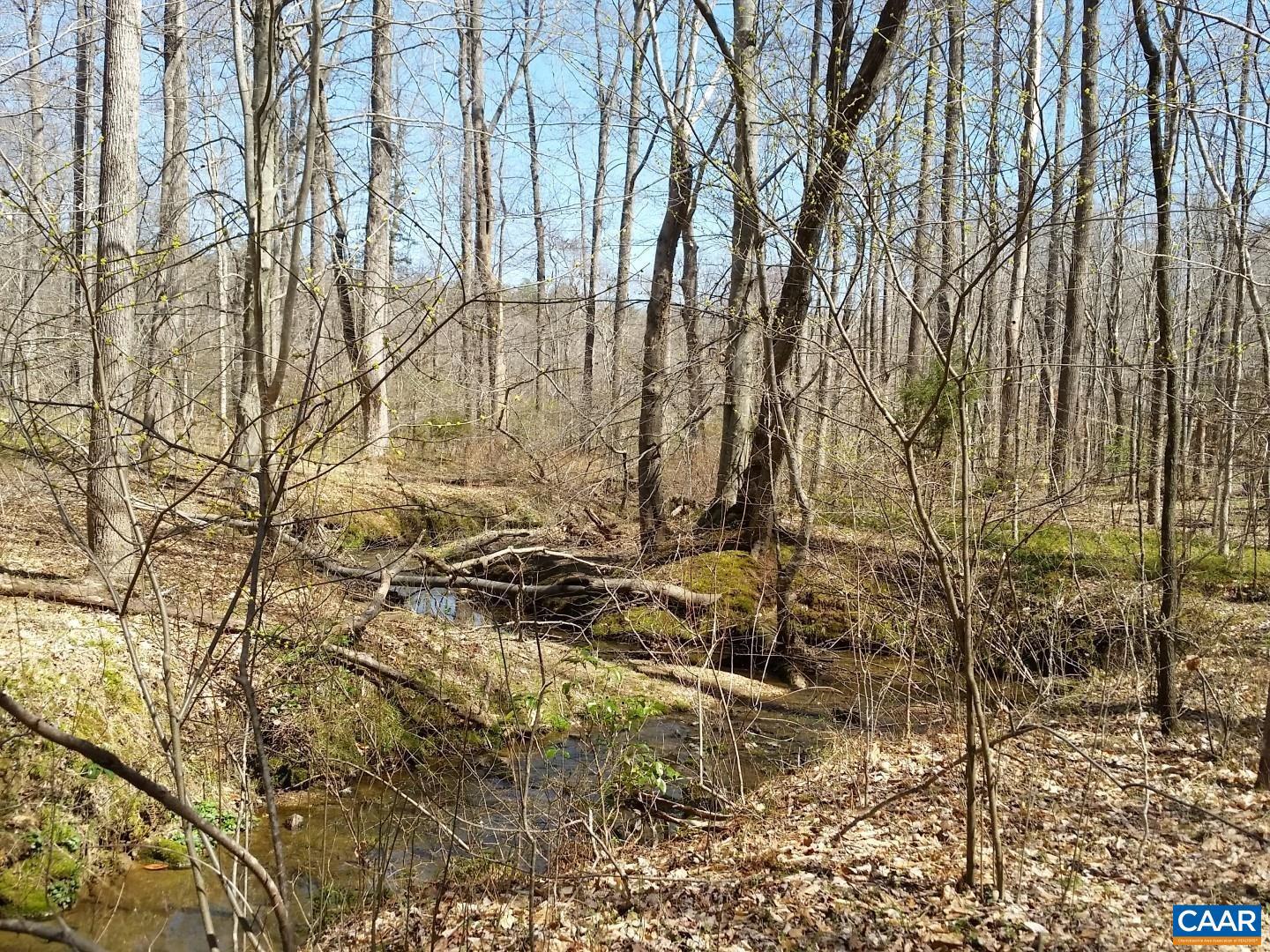 2647 PENNY LN, CHARLOTTESVILLE, Virginia 22901, ,Land,For Sale,2647 PENNY LN,670689 MLS # 670689 2647 PENNY LN, CHARLOTTESVILLE, Virginia 22901, ,Land,For Sale,2647 PENNY LN,670689 MLS # 670689