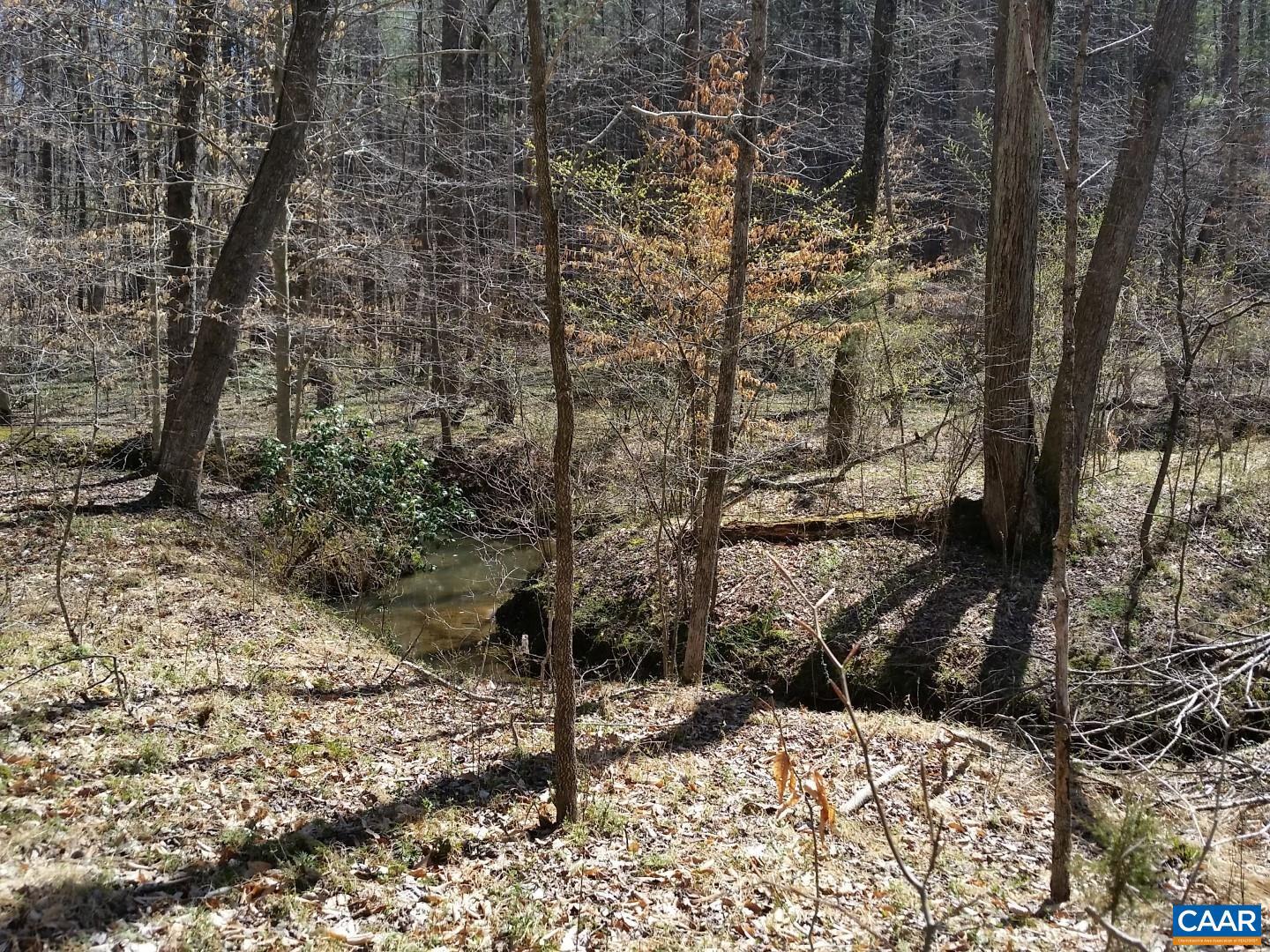 2647 PENNY LN, CHARLOTTESVILLE, Virginia 22901, ,Land,For Sale,2647 PENNY LN,670689 MLS # 670689 2647 PENNY LN, CHARLOTTESVILLE, Virginia 22901, ,Land,For Sale,2647 PENNY LN,670689 MLS # 670689