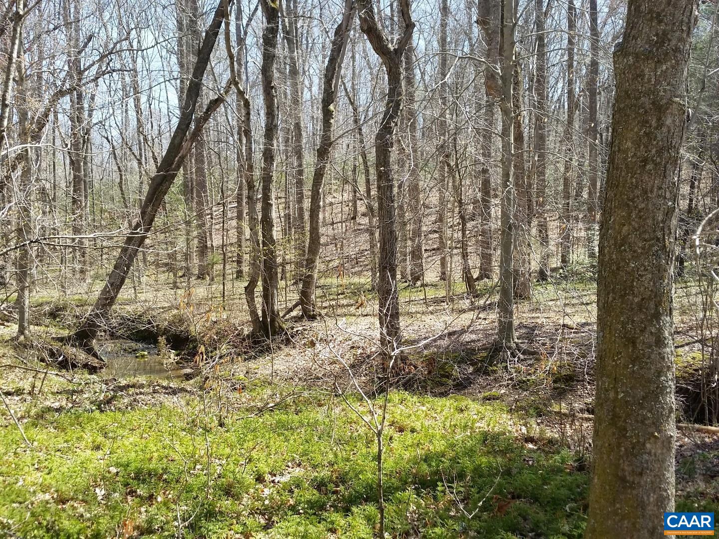 2647 PENNY LN, CHARLOTTESVILLE, Virginia 22901, ,Land,For Sale,2647 PENNY LN,670689 MLS # 670689 2647 PENNY LN, CHARLOTTESVILLE, Virginia 22901, ,Land,For Sale,2647 PENNY LN,670689 MLS # 670689