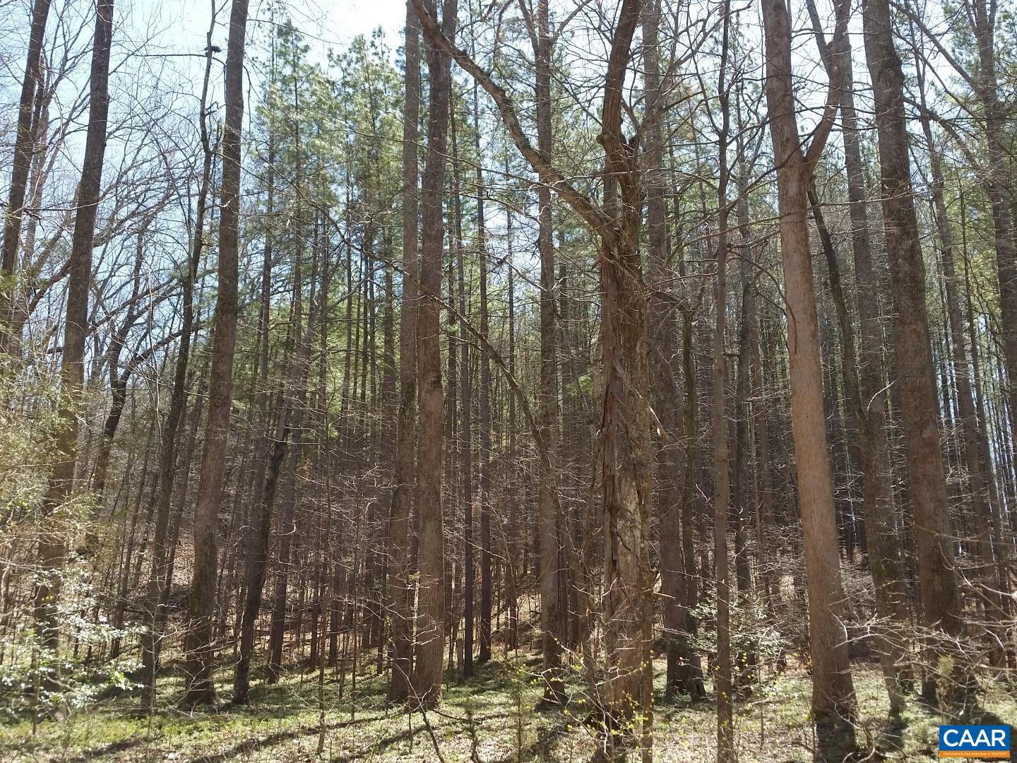 2647 PENNY LN, CHARLOTTESVILLE, Virginia 22901, ,Land,For Sale,2647 PENNY LN,670689 MLS # 670689 2647 PENNY LN, CHARLOTTESVILLE, Virginia 22901, ,Land,For Sale,2647 PENNY LN,670689 MLS # 670689