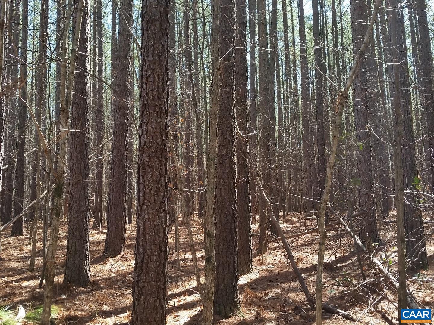 2647 PENNY LN, CHARLOTTESVILLE, Virginia 22901, ,Land,For Sale,2647 PENNY LN,670689 MLS # 670689 2647 PENNY LN, CHARLOTTESVILLE, Virginia 22901, ,Land,For Sale,2647 PENNY LN,670689 MLS # 670689