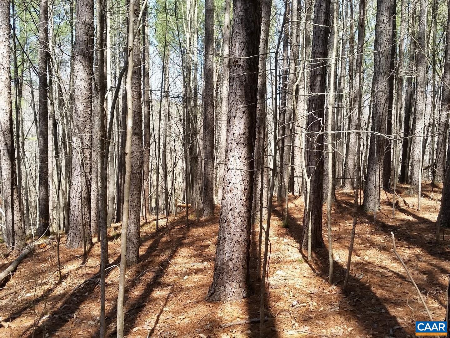 2647 PENNY LN, CHARLOTTESVILLE, Virginia 22901, ,Land,For Sale,2647 PENNY LN,670689 MLS # 670689 2647 PENNY LN, CHARLOTTESVILLE, Virginia 22901, ,Land,For Sale,2647 PENNY LN,670689 MLS # 670689