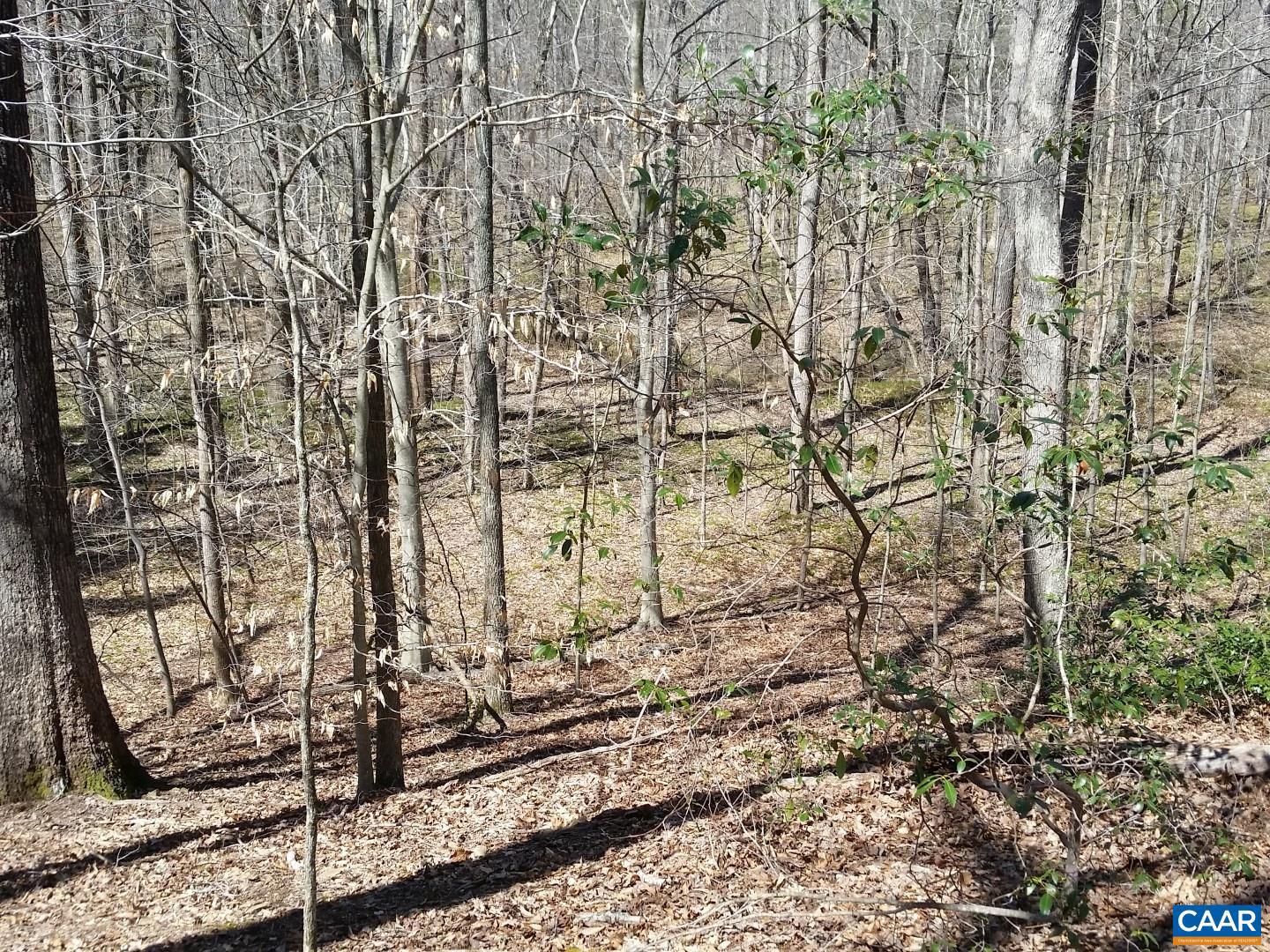 2647 PENNY LN, CHARLOTTESVILLE, Virginia 22901, ,Land,For Sale,2647 PENNY LN,670689 MLS # 670689 2647 PENNY LN, CHARLOTTESVILLE, Virginia 22901, ,Land,For Sale,2647 PENNY LN,670689 MLS # 670689