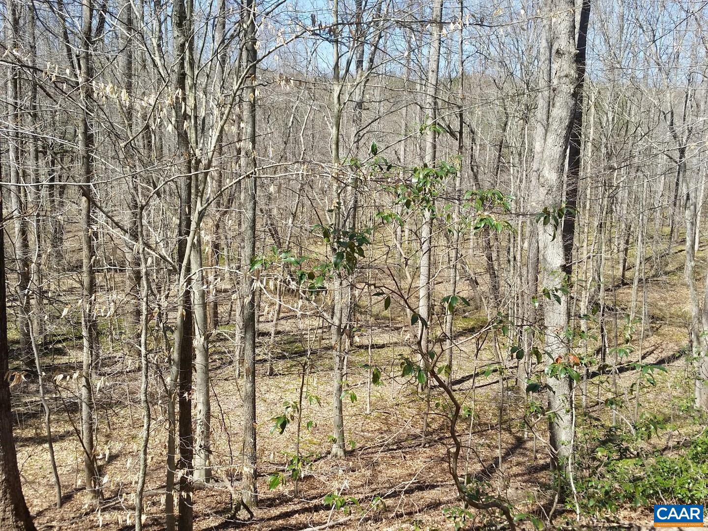 2647 PENNY LN, CHARLOTTESVILLE, Virginia 22901, ,Land,For Sale,2647 PENNY LN,670689 MLS # 670689 2647 PENNY LN, CHARLOTTESVILLE, Virginia 22901, ,Land,For Sale,2647 PENNY LN,670689 MLS # 670689