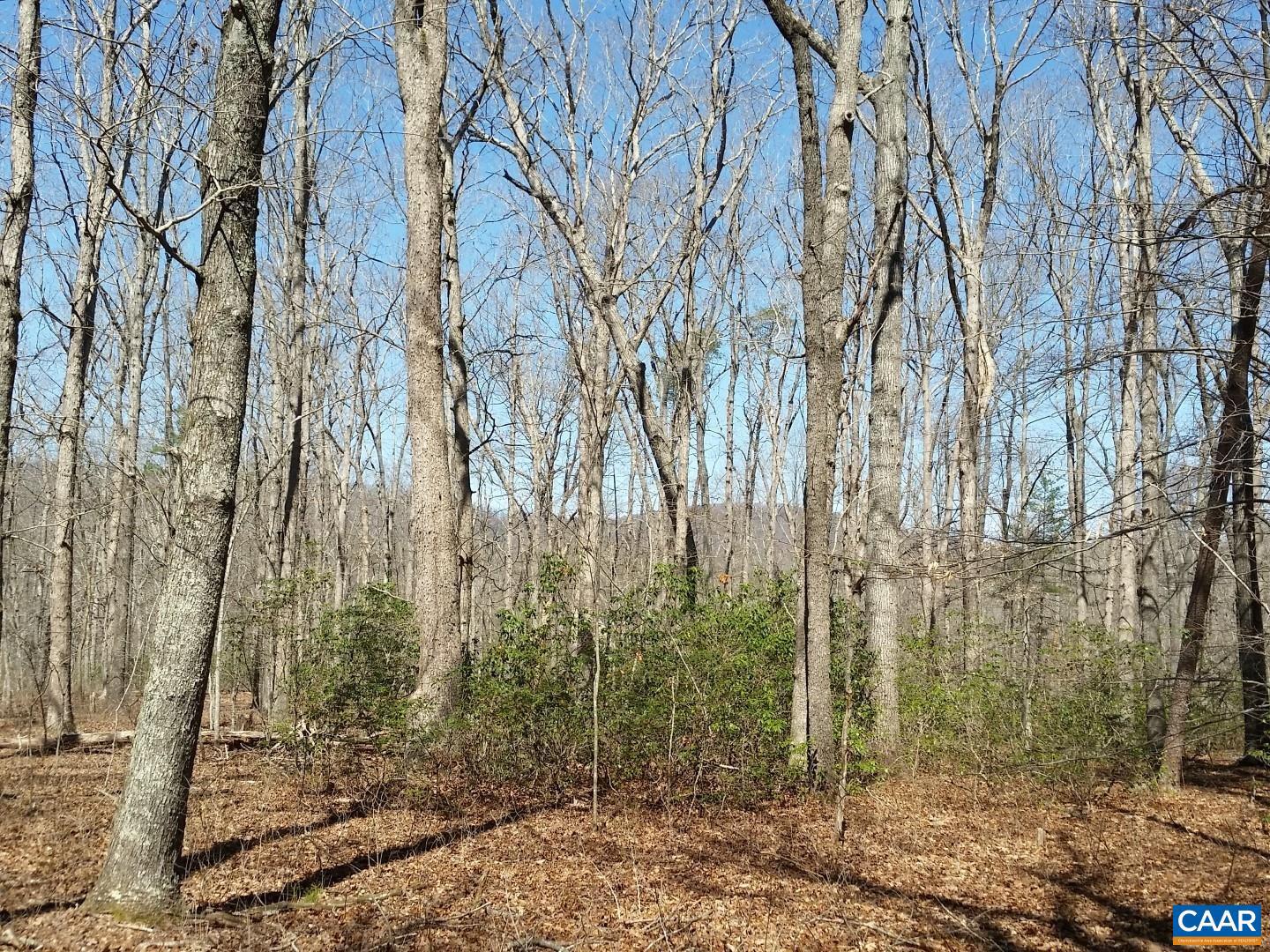 2647 PENNY LN, CHARLOTTESVILLE, Virginia 22901, ,Land,For Sale,2647 PENNY LN,670689 MLS # 670689 2647 PENNY LN, CHARLOTTESVILLE, Virginia 22901, ,Land,For Sale,2647 PENNY LN,670689 MLS # 670689