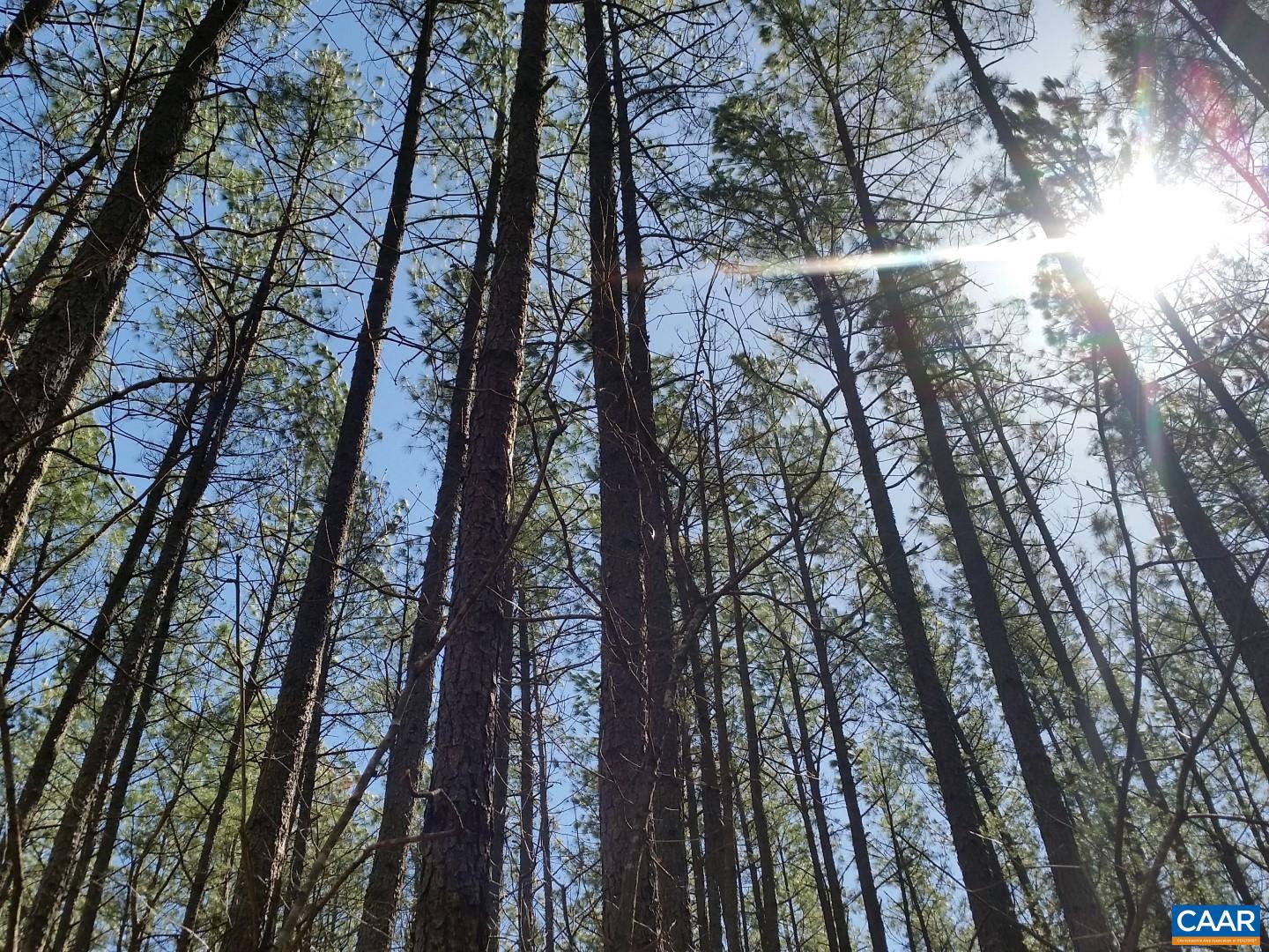 2647 PENNY LN, CHARLOTTESVILLE, Virginia 22901, ,Land,For Sale,2647 PENNY LN,670689 MLS # 670689 2647 PENNY LN, CHARLOTTESVILLE, Virginia 22901, ,Land,For Sale,2647 PENNY LN,670689 MLS # 670689