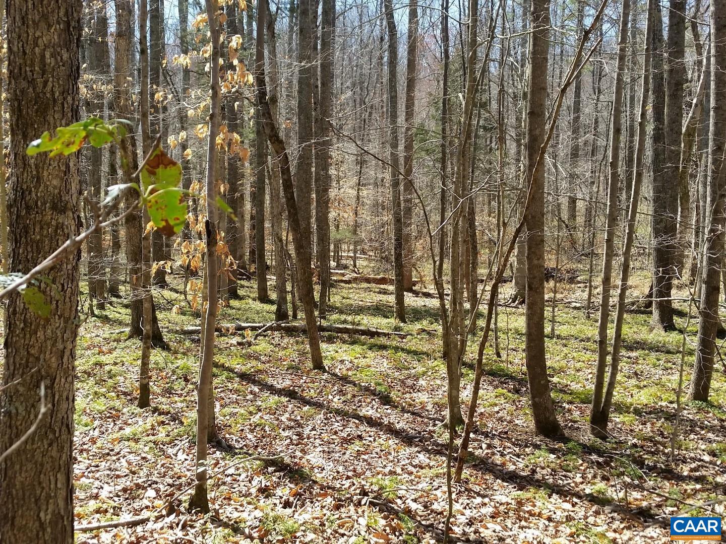 2647 PENNY LN, CHARLOTTESVILLE, Virginia 22901, ,Land,For Sale,2647 PENNY LN,670689 MLS # 670689 2647 PENNY LN, CHARLOTTESVILLE, Virginia 22901, ,Land,For Sale,2647 PENNY LN,670689 MLS # 670689