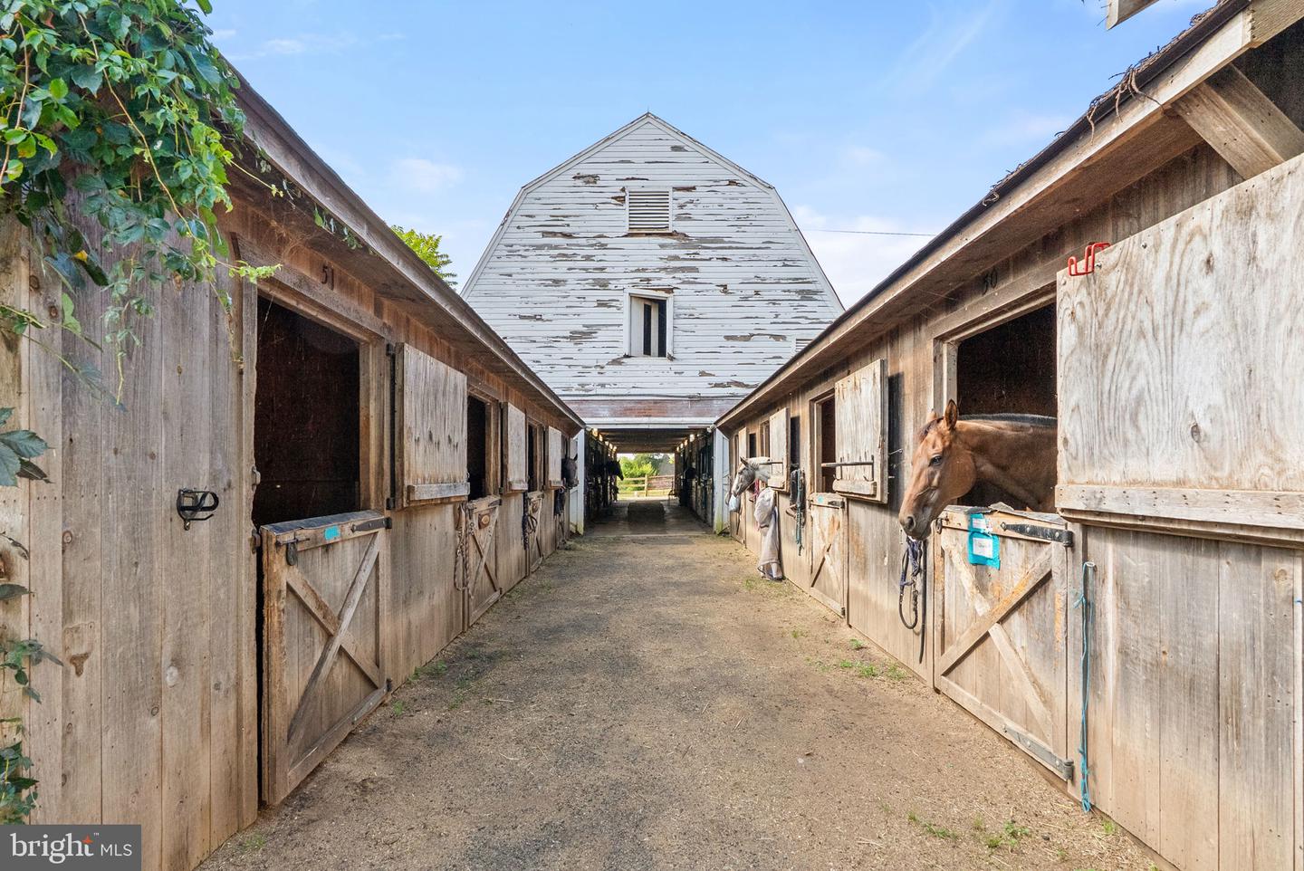 40332 COURTLAND FARM LN, ALDIE, Virginia 20105, 3 Bedrooms Bedrooms, ,2 BathroomsBathrooms,Farm,For Sale,40332 COURTLAND FARM LN,VALO2104646 MLS # VALO2104646 40332 COURTLAND FARM LN, ALDIE, Virginia 20105, 3 Bedrooms Bedrooms, ,2 BathroomsBathrooms,Farm,For Sale,40332 COURTLAND FARM LN,VALO2104646 MLS # VALO2104646