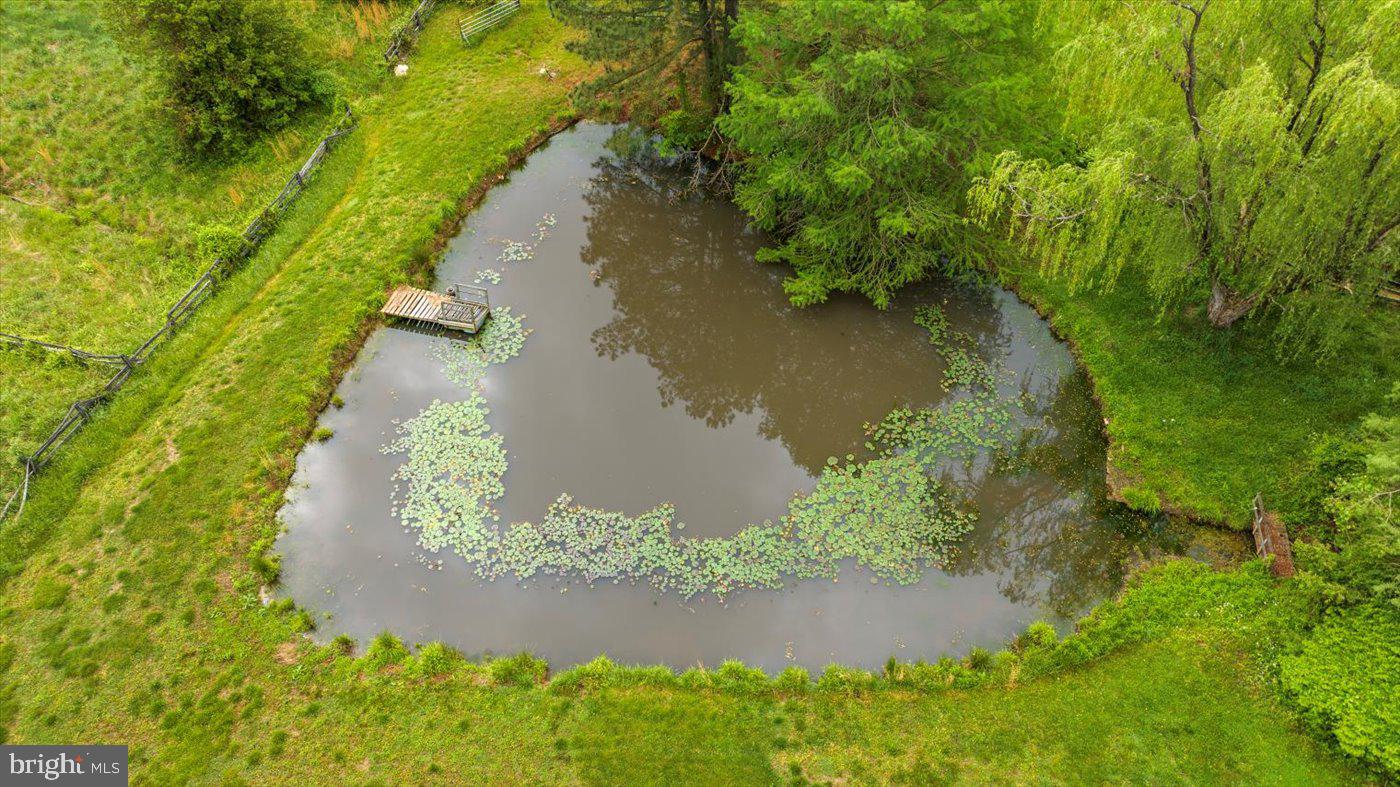 2188 SEVILLE RD, MADISON, Virginia 22727, 3 Bedrooms Bedrooms, ,2 BathroomsBathrooms,Residential,For Sale,2188 SEVILLE RD,VAMA2002218 MLS # VAMA2002218