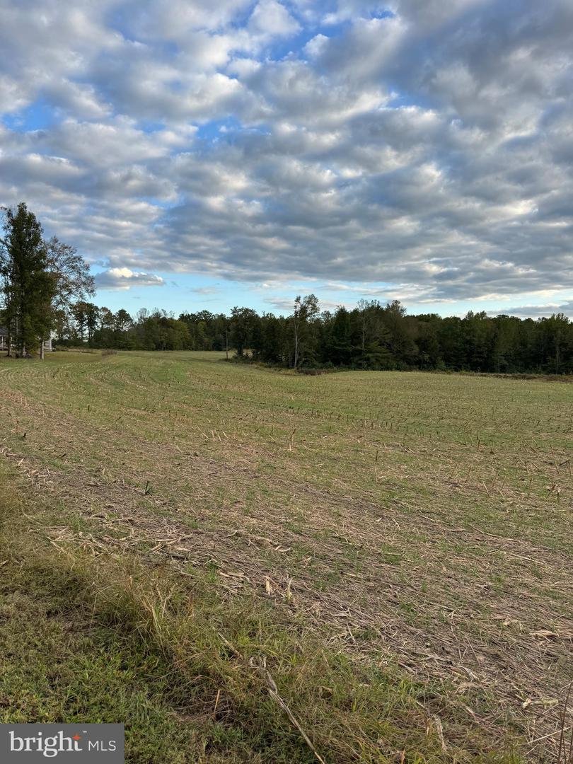 284 BOULDER SPRINGS LN, LOUISA, Virginia 23093, 4 Bedrooms Bedrooms, ,2 BathroomsBathrooms,Farm,For Sale,284 BOULDER SPRINGS LN,VALA2008790 MLS # VALA2008790