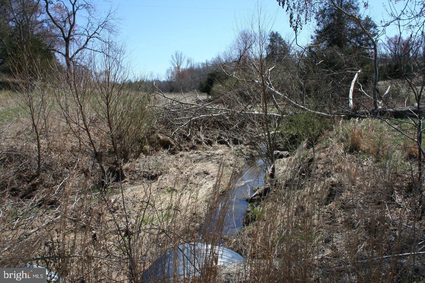 13506 TEAR JAMES TRL, AMISSVILLE, Virginia 20106, 3 Bedrooms Bedrooms, 9 Rooms Rooms,2 BathroomsBathrooms,Farm,For Sale,13506 TEAR JAMES TRL,VACU2011382 MLS # VACU2011382