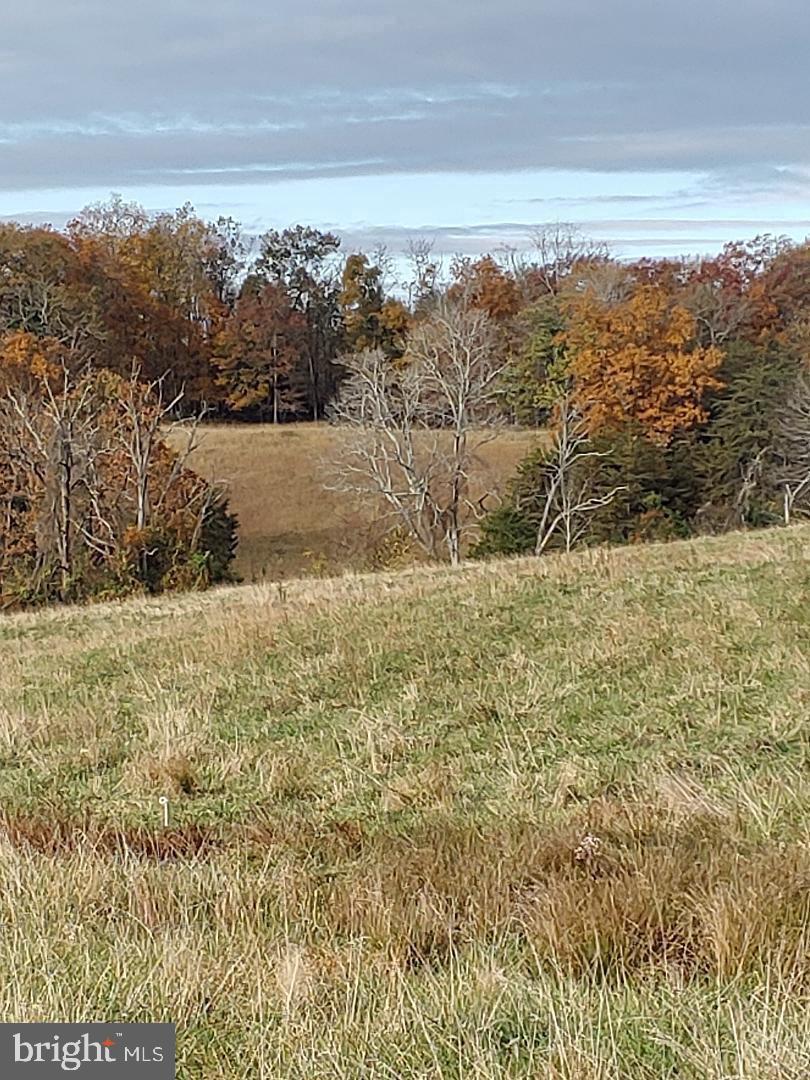 13506 TEAR JAMES TRL, AMISSVILLE, Virginia 20106, 3 Bedrooms Bedrooms, 9 Rooms Rooms,2 BathroomsBathrooms,Farm,For Sale,13506 TEAR JAMES TRL,VACU2011382 MLS # VACU2011382