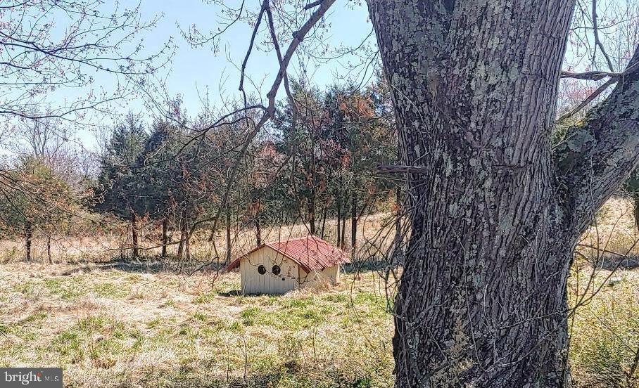 13506 TEAR JAMES TRL, AMISSVILLE, Virginia 20106, 3 Bedrooms Bedrooms, 9 Rooms Rooms,2 BathroomsBathrooms,Farm,For Sale,13506 TEAR JAMES TRL,VACU2011382 MLS # VACU2011382