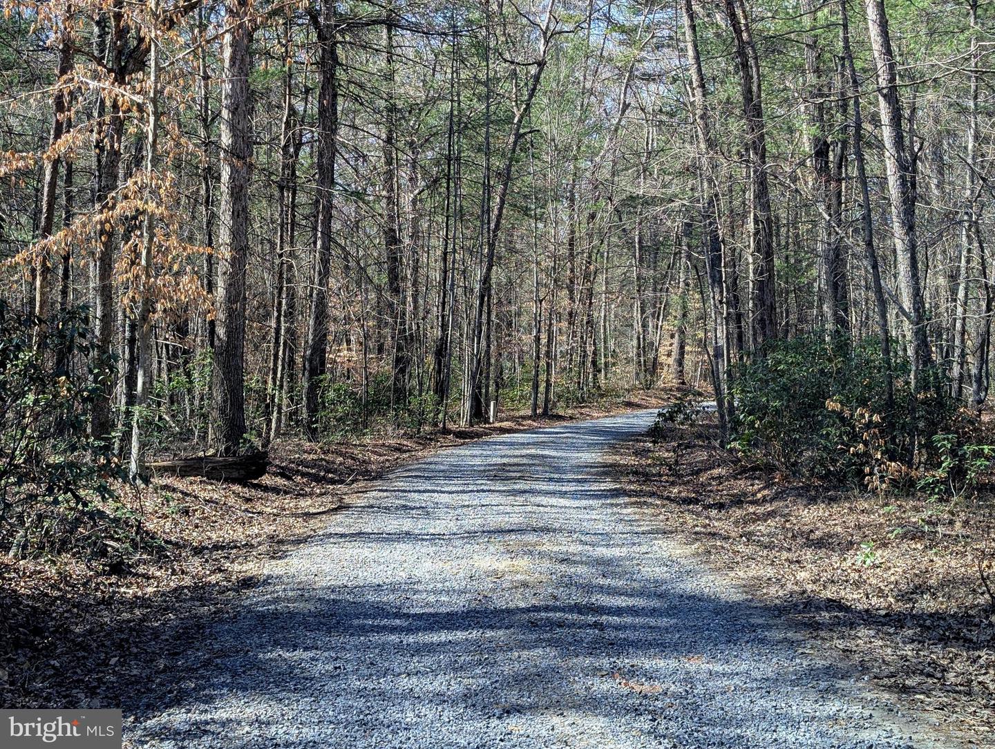 0 SLATE MILL RD, STANARDSVILLE, Virginia 22973, ,Farm,For Sale,0 SLATE MILL RD,VAGR2000776 MLS # VAGR2000776