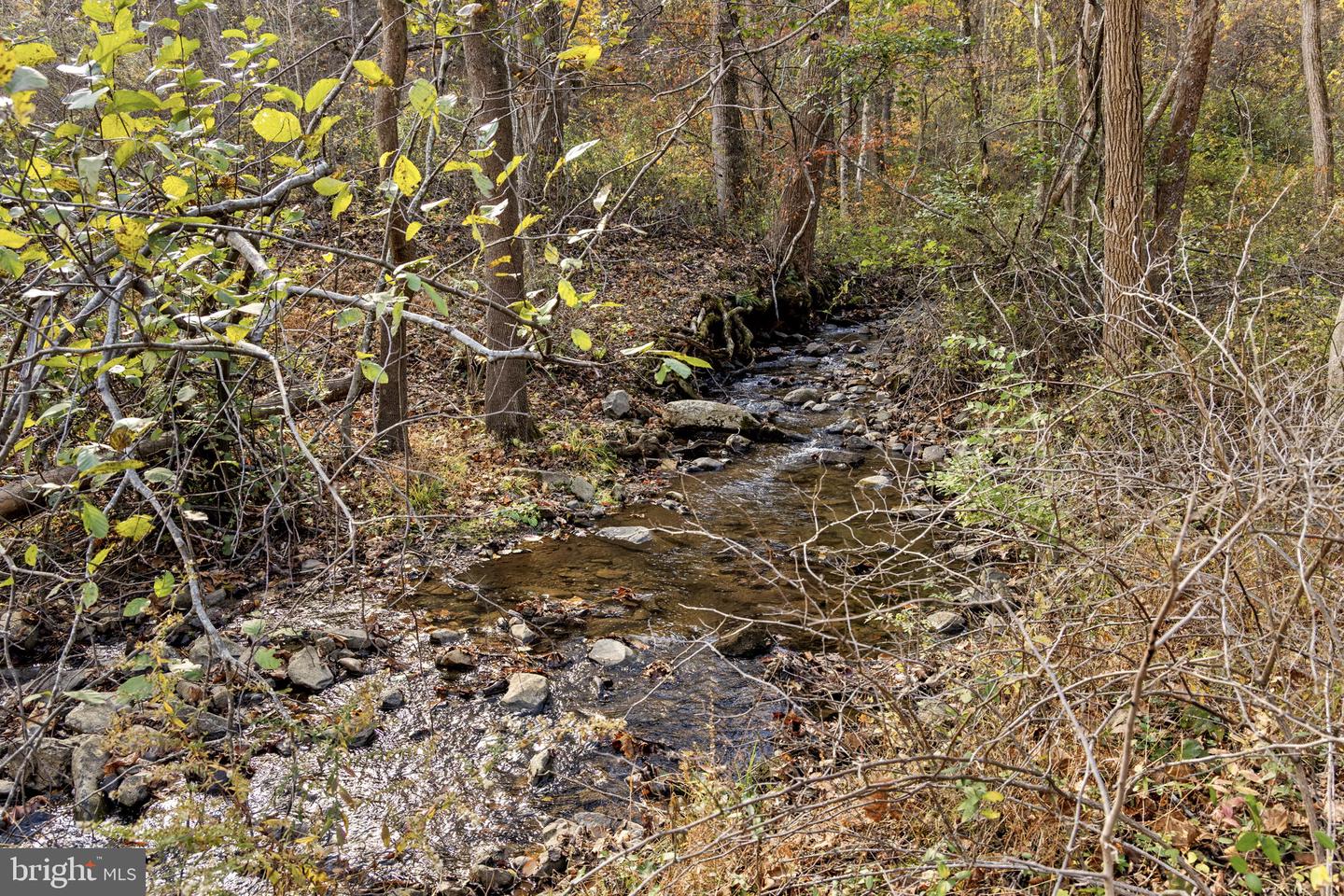 0 GID BROWN HOLLOW, WASHINGTON, Virginia 22747, ,Land,For Sale,0 GID BROWN HOLLOW,VARP2002378 MLS # VARP2002378