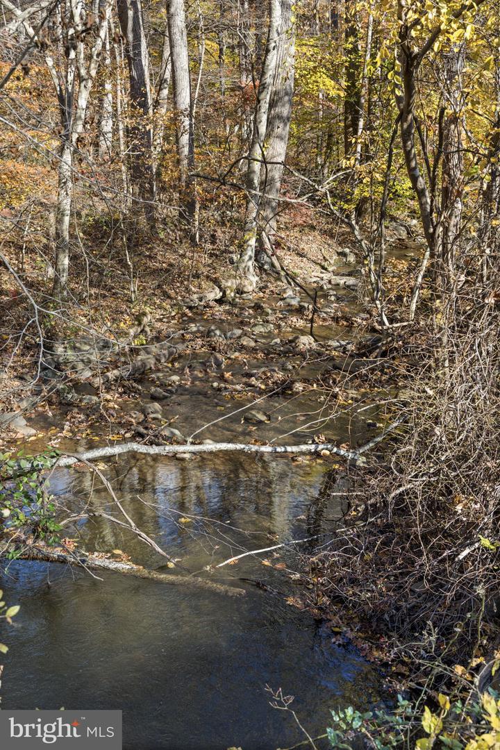 0 GID BROWN HOLLOW, WASHINGTON, Virginia 22747, ,Land,For Sale,0 GID BROWN HOLLOW,VARP2002378 MLS # VARP2002378