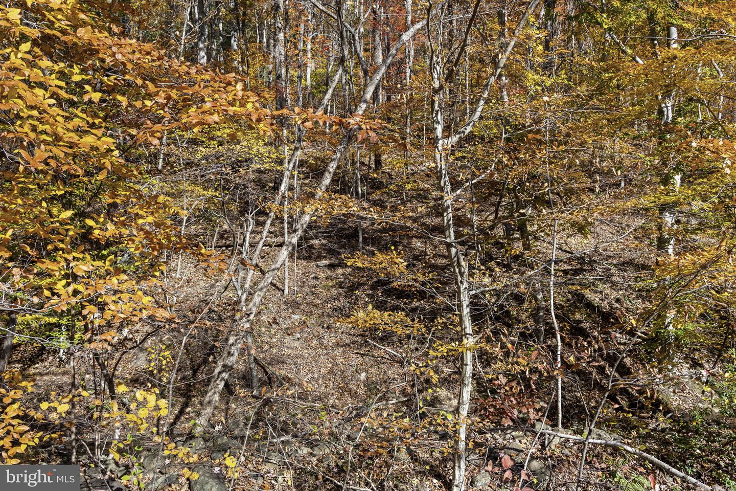 0 GID BROWN HOLLOW, WASHINGTON, Virginia 22747, ,Land,For Sale,0 GID BROWN HOLLOW,VARP2002378 MLS # VARP2002378