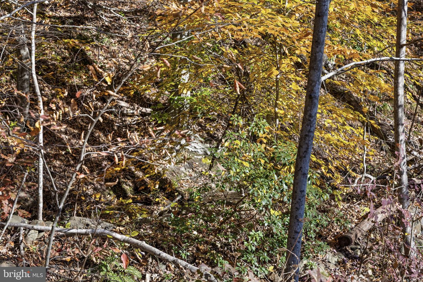 0 GID BROWN HOLLOW, WASHINGTON, Virginia 22747, ,Land,For Sale,0 GID BROWN HOLLOW,VARP2002378 MLS # VARP2002378