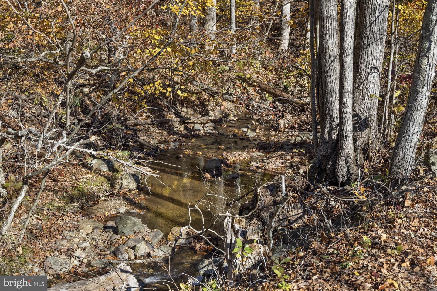 0 GID BROWN HOLLOW, WASHINGTON, Virginia 22747, ,Land,For Sale,0 GID BROWN HOLLOW,VARP2002378 MLS # VARP2002378