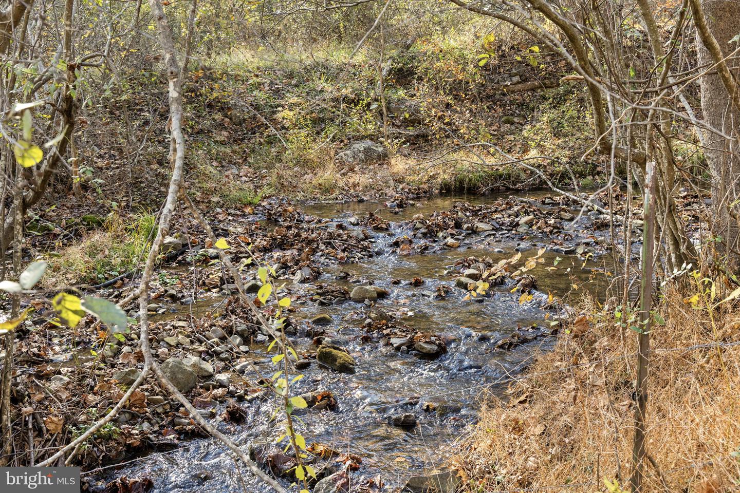 0 GID BROWN HOLLOW, WASHINGTON, Virginia 22747, ,Land,For Sale,0 GID BROWN HOLLOW,VARP2002378 MLS # VARP2002378