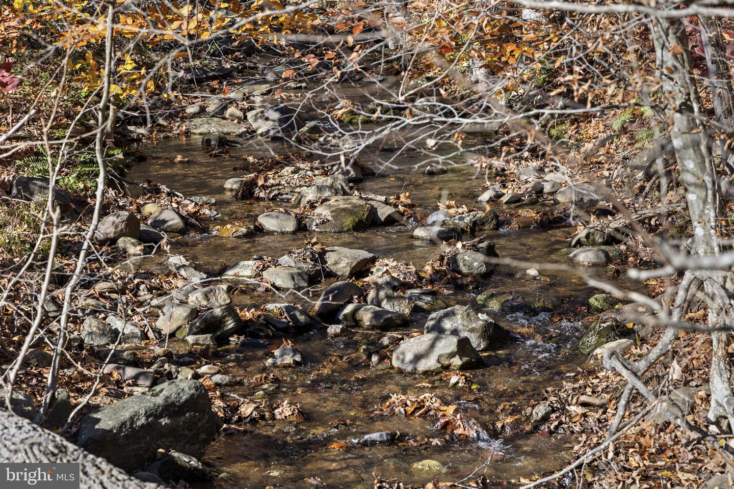 0 GID BROWN HOLLOW, WASHINGTON, Virginia 22747, ,Land,For Sale,0 GID BROWN HOLLOW,VARP2002378 MLS # VARP2002378