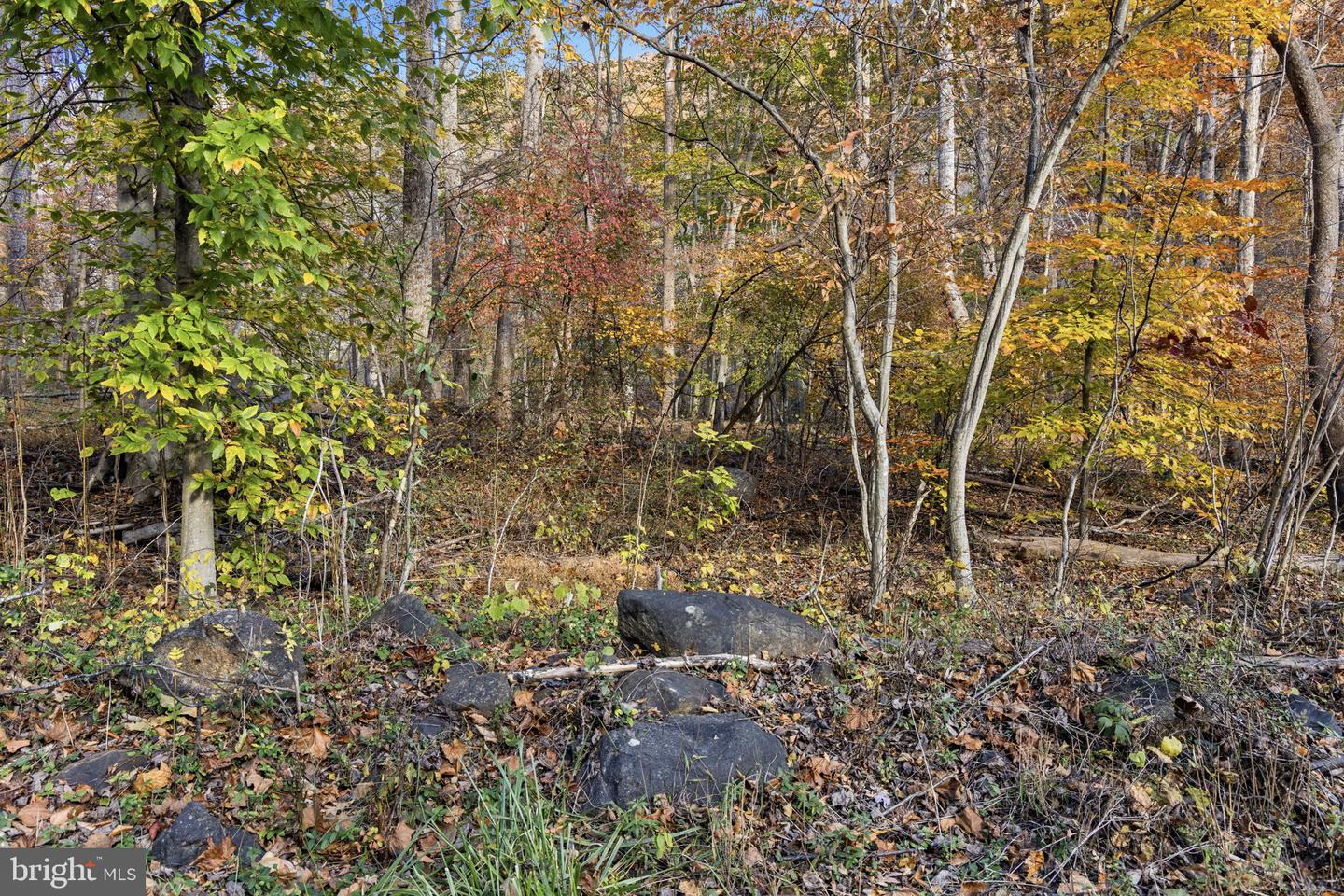 0 GID BROWN HOLLOW, WASHINGTON, Virginia 22747, ,Land,For Sale,0 GID BROWN HOLLOW,VARP2002378 MLS # VARP2002378