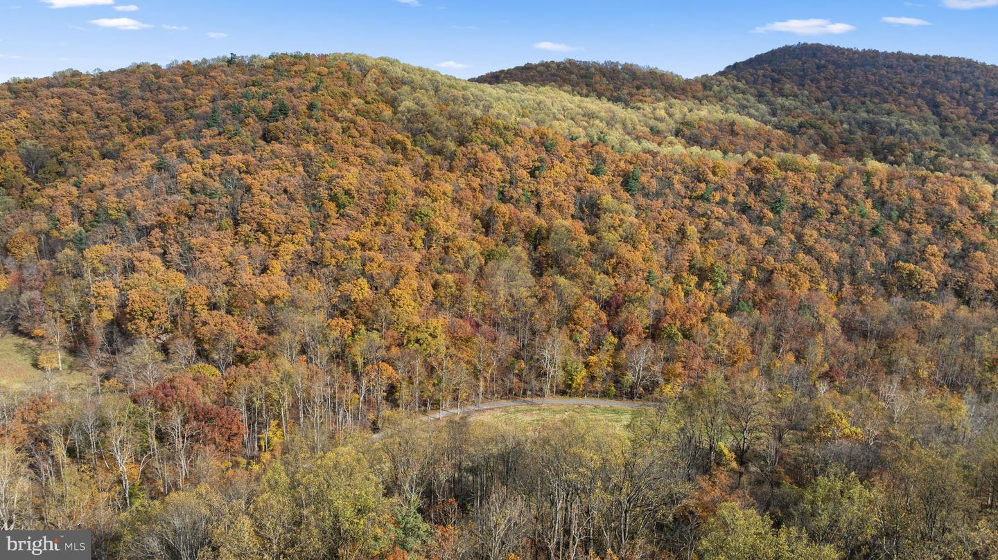 0 GID BROWN HOLLOW, WASHINGTON, Virginia 22747, ,Land,For Sale,0 GID BROWN HOLLOW,VARP2002378 MLS # VARP2002378