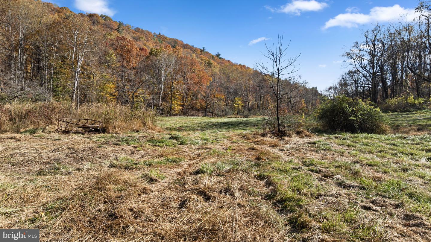 0 GID BROWN HOLLOW, WASHINGTON, Virginia 22747, ,Land,For Sale,0 GID BROWN HOLLOW,VARP2002378 MLS # VARP2002378