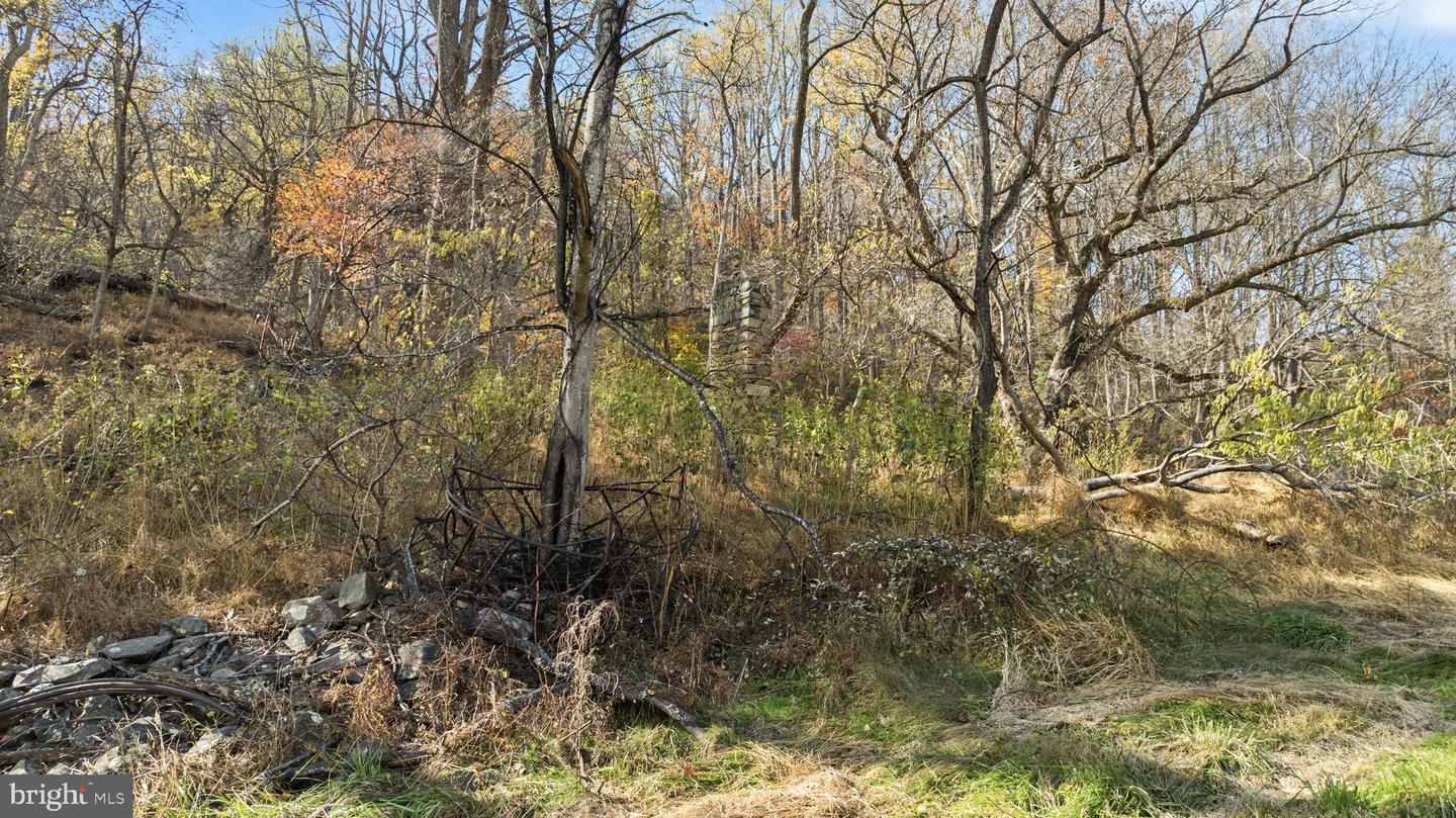 0 GID BROWN HOLLOW, WASHINGTON, Virginia 22747, ,Land,For Sale,0 GID BROWN HOLLOW,VARP2002378 MLS # VARP2002378