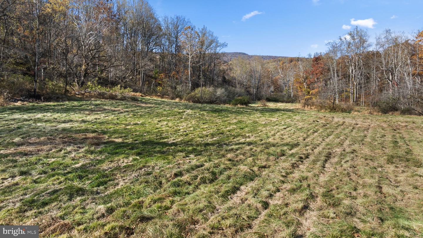 0 GID BROWN HOLLOW, WASHINGTON, Virginia 22747, ,Land,For Sale,0 GID BROWN HOLLOW,VARP2002378 MLS # VARP2002378