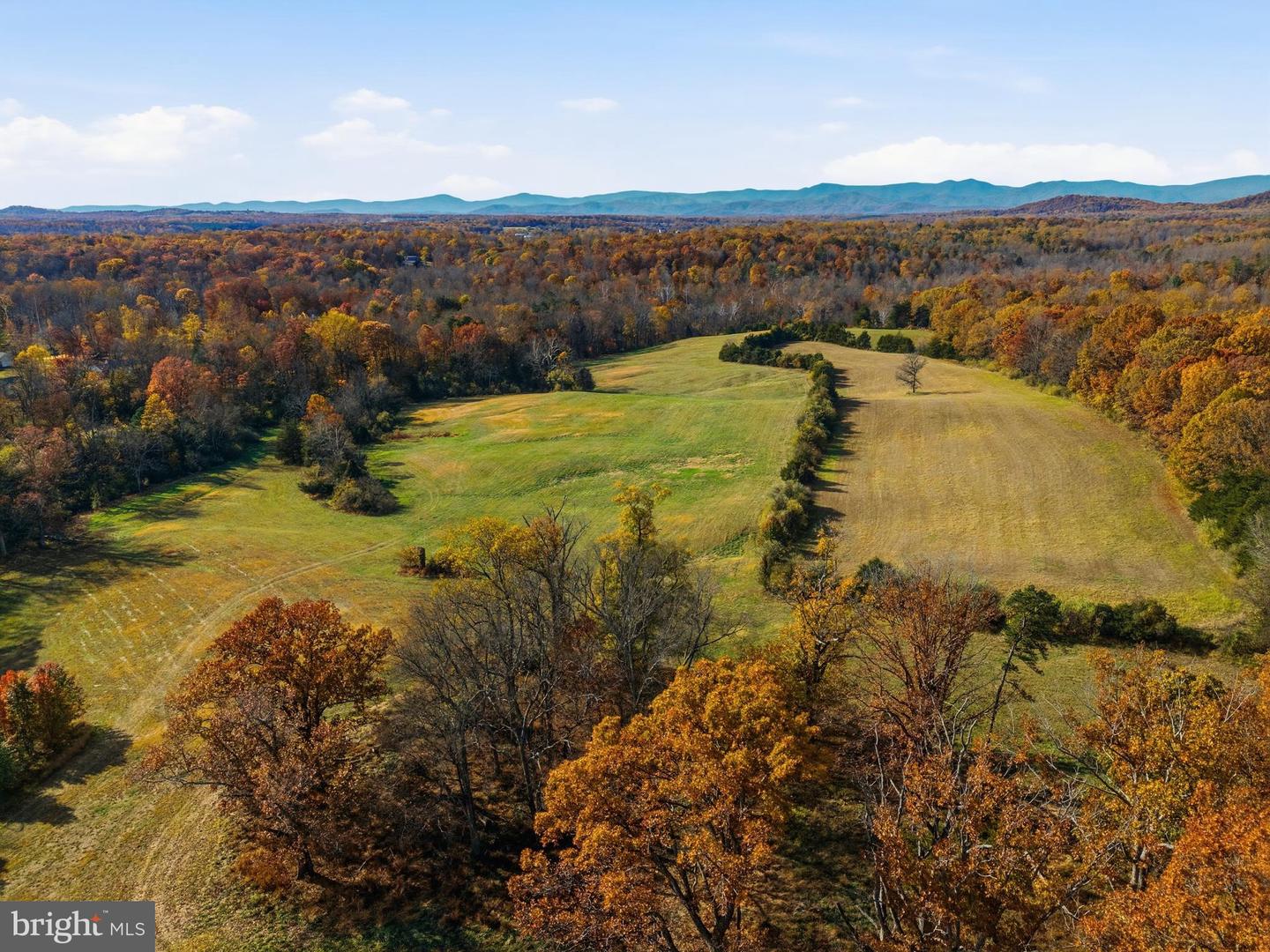 LOT A TRASARA RD, RAPIDAN, Virginia 22733, ,Land,For Sale,LOT A TRASARA RD,VACU2011964 MLS # VACU2011964 LOT A TRASARA RD, RAPIDAN, Virginia 22733, ,Land,For Sale,LOT A TRASARA RD,VACU2011964 MLS # VACU2011964