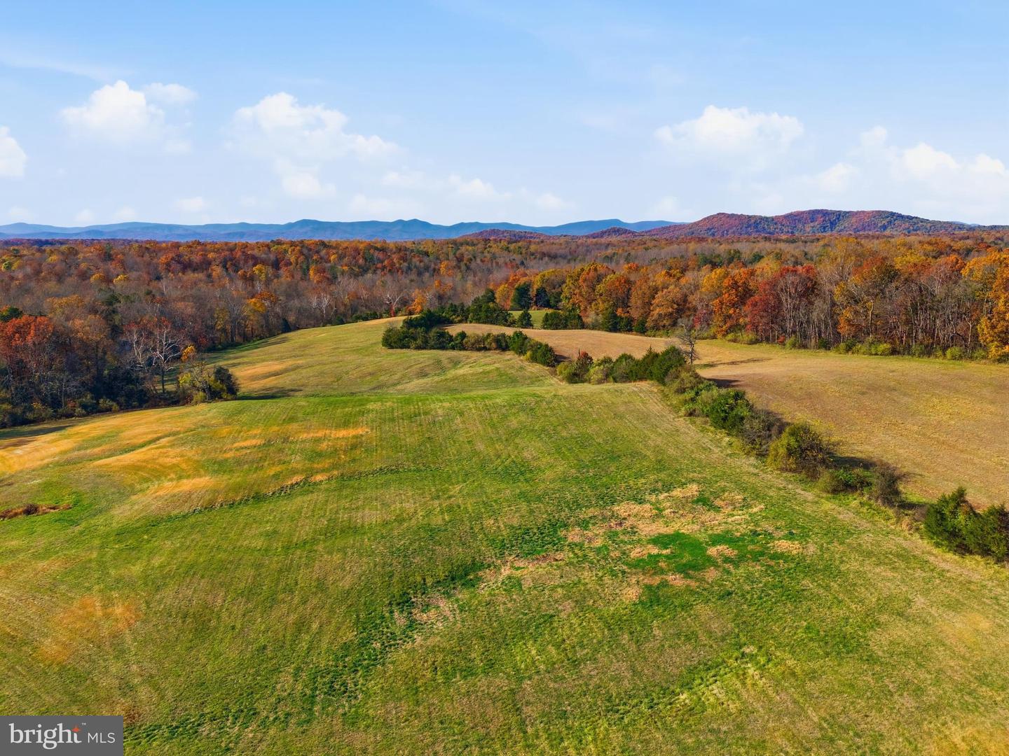 LOT A TRASARA RD, RAPIDAN, Virginia 22733, ,Land,For Sale,LOT A TRASARA RD,VACU2011964 MLS # VACU2011964 LOT A TRASARA RD, RAPIDAN, Virginia 22733, ,Land,For Sale,LOT A TRASARA RD,VACU2011964 MLS # VACU2011964