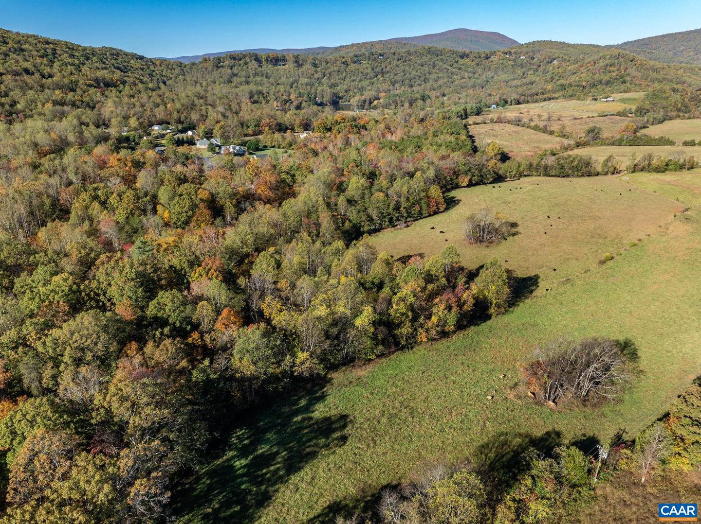 0 OCTONIA RD, STANARDSVILLE, Virginia 22973, ,Farm,For Sale,0 OCTONIA RD,670773 MLS # 670773