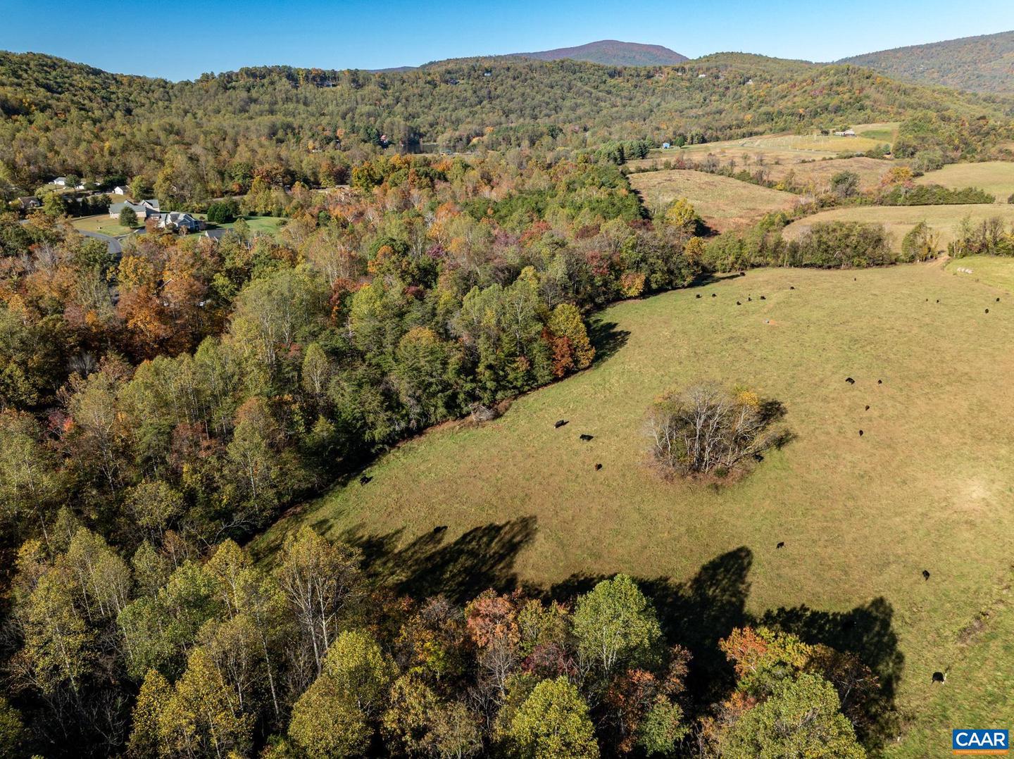 0 OCTONIA RD, STANARDSVILLE, Virginia 22973, ,Farm,For Sale,0 OCTONIA RD,670773 MLS # 670773