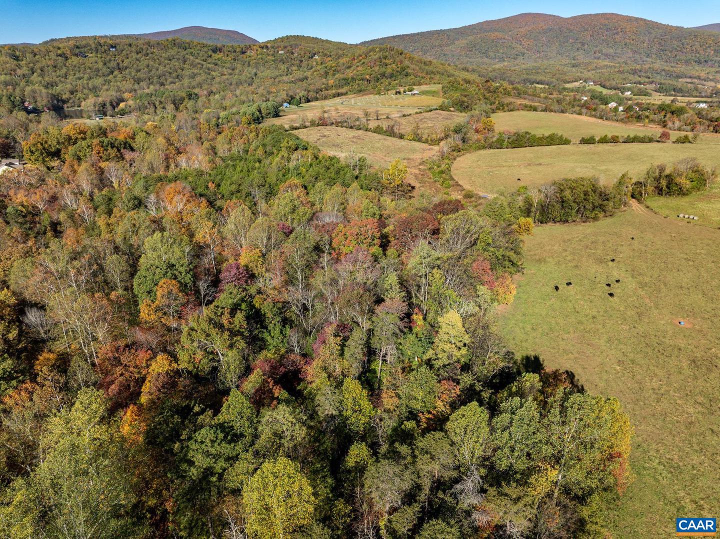 0 OCTONIA RD, STANARDSVILLE, Virginia 22973, ,Farm,For Sale,0 OCTONIA RD,670773 MLS # 670773