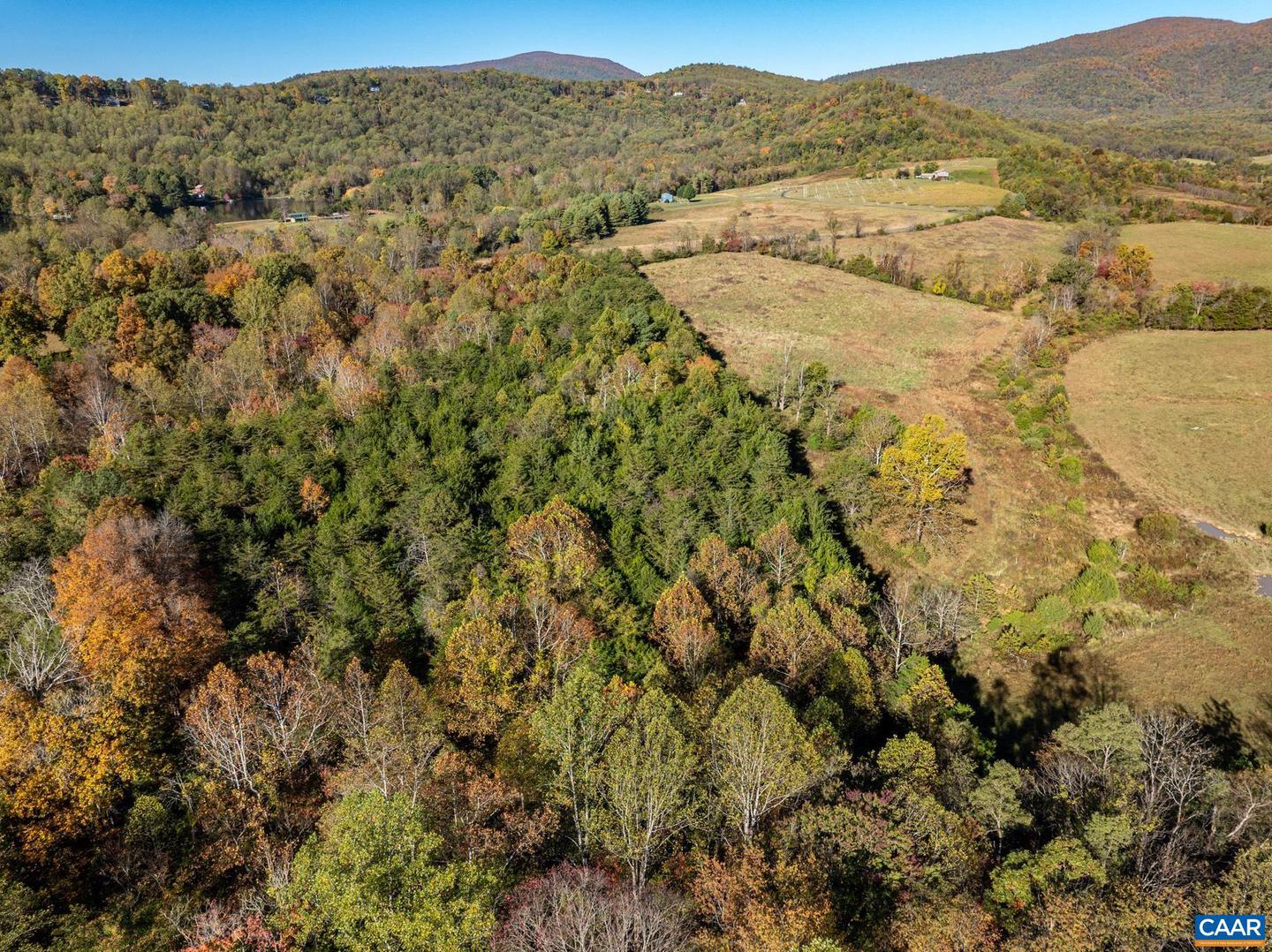 0 OCTONIA RD, STANARDSVILLE, Virginia 22973, ,Farm,For Sale,0 OCTONIA RD,670773 MLS # 670773