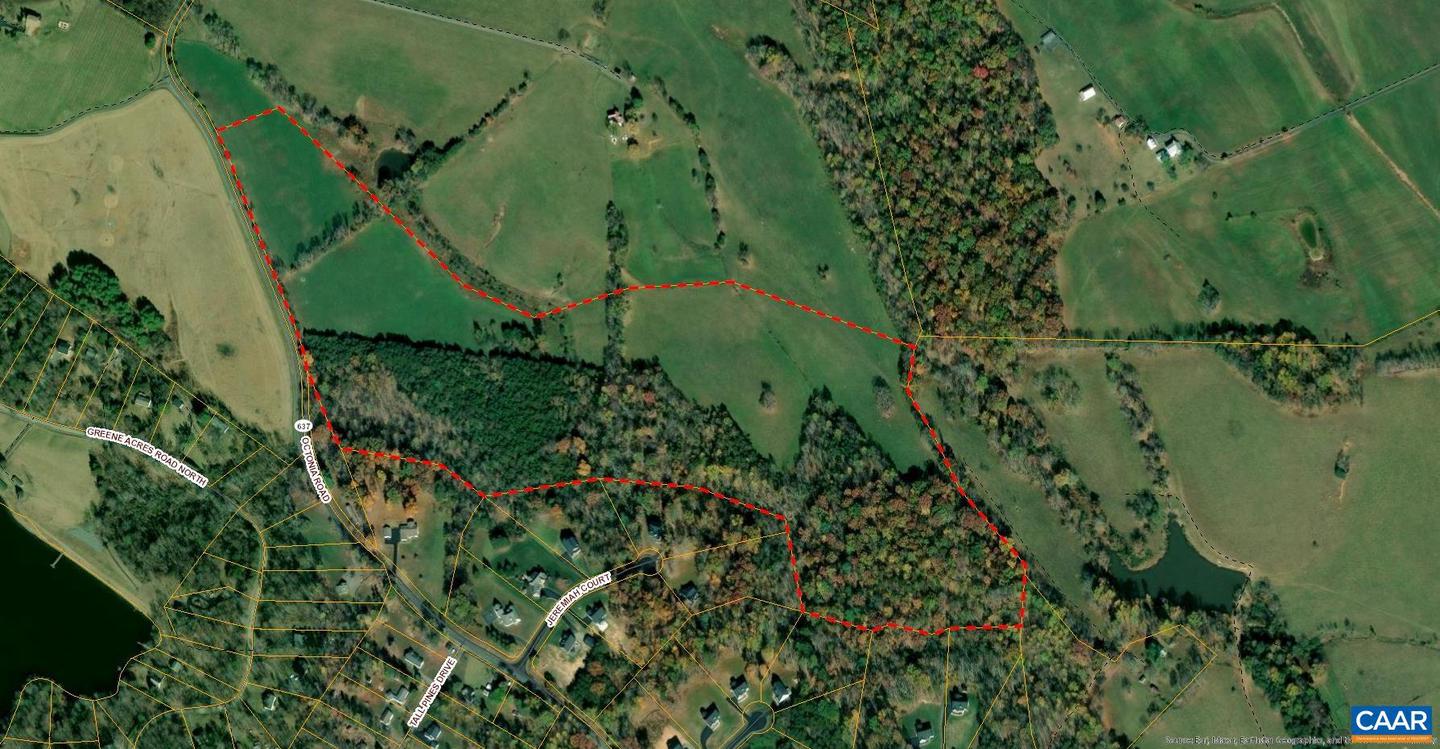 0 OCTONIA RD, STANARDSVILLE, Virginia 22973, ,Farm,For Sale,0 OCTONIA RD,670773 MLS # 670773