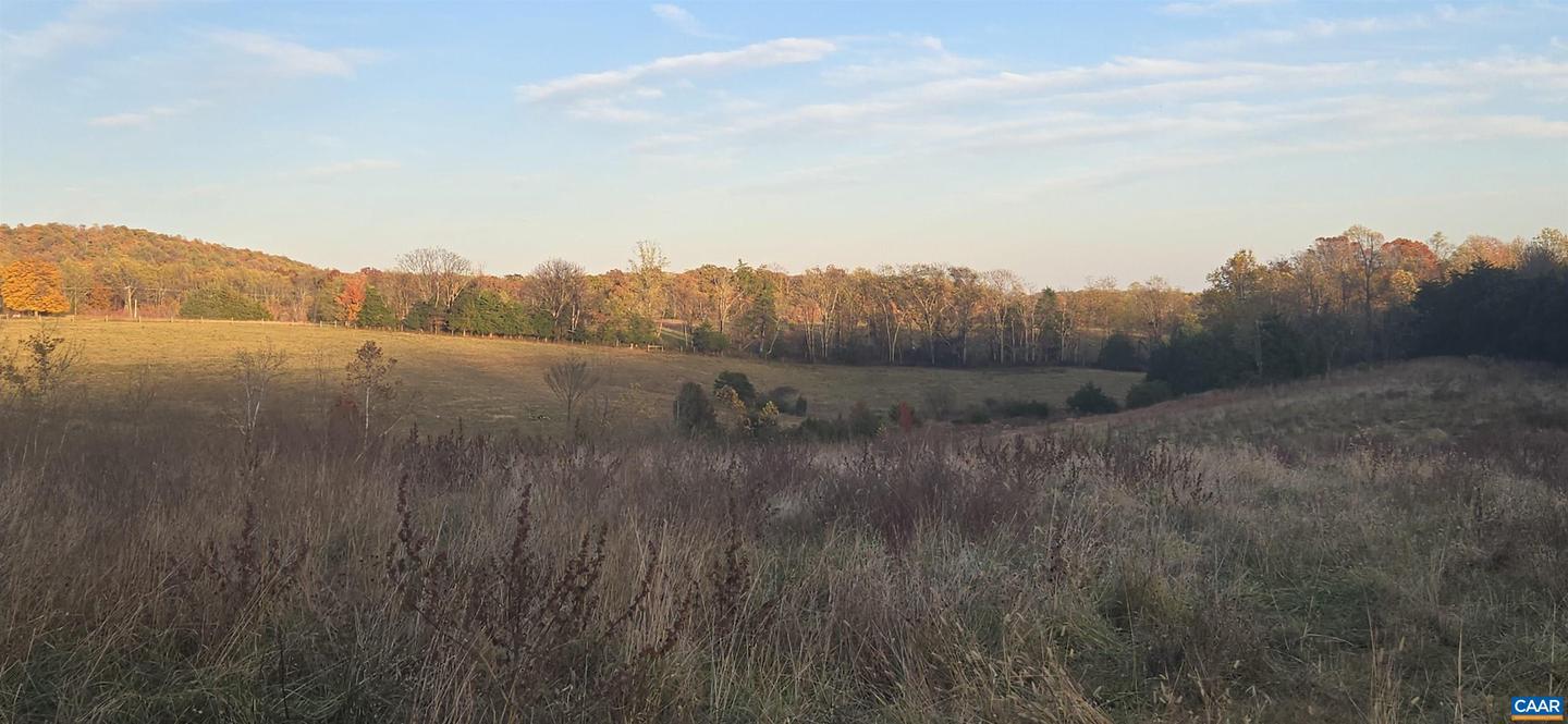 0 OCTONIA RD, STANARDSVILLE, Virginia 22973, ,Farm,For Sale,0 OCTONIA RD,670773 MLS # 670773