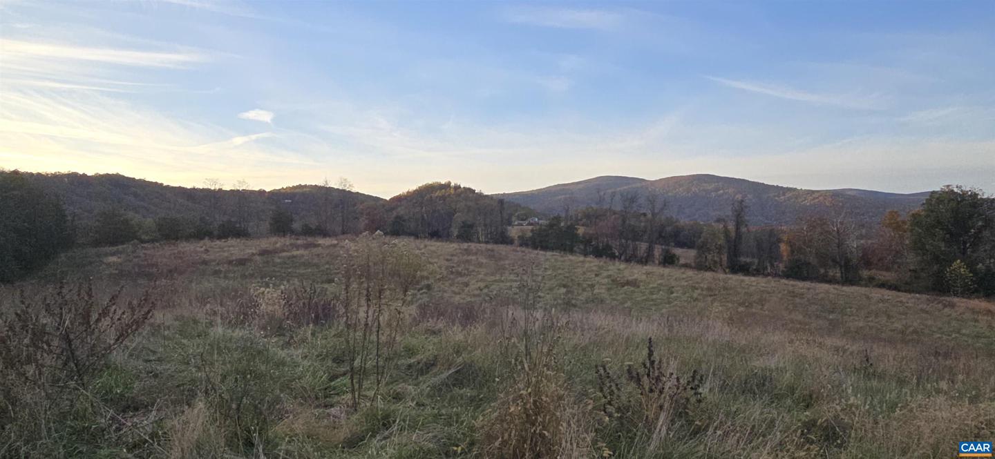 0 OCTONIA RD, STANARDSVILLE, Virginia 22973, ,Farm,For Sale,0 OCTONIA RD,670773 MLS # 670773