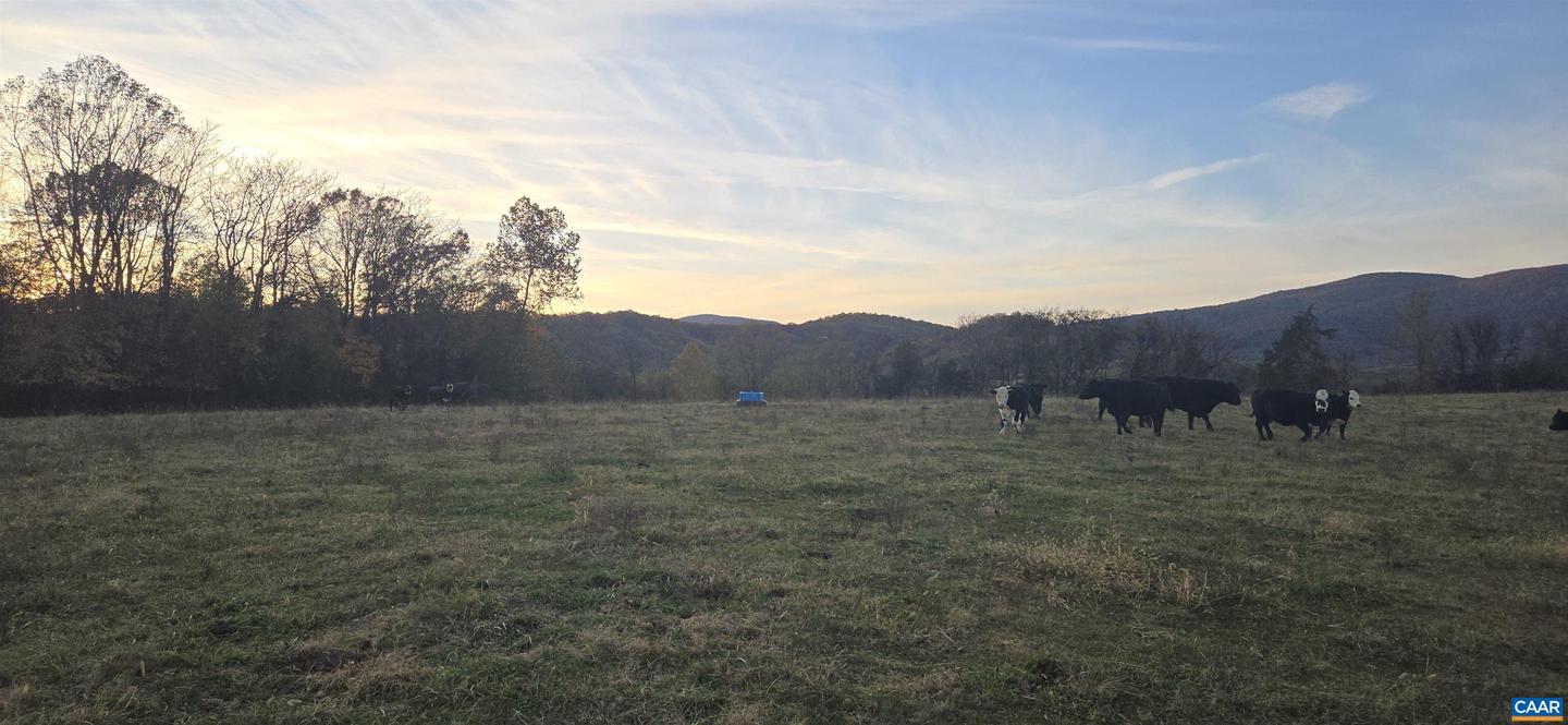 0 OCTONIA RD, STANARDSVILLE, Virginia 22973, ,Farm,For Sale,0 OCTONIA RD,670773 MLS # 670773