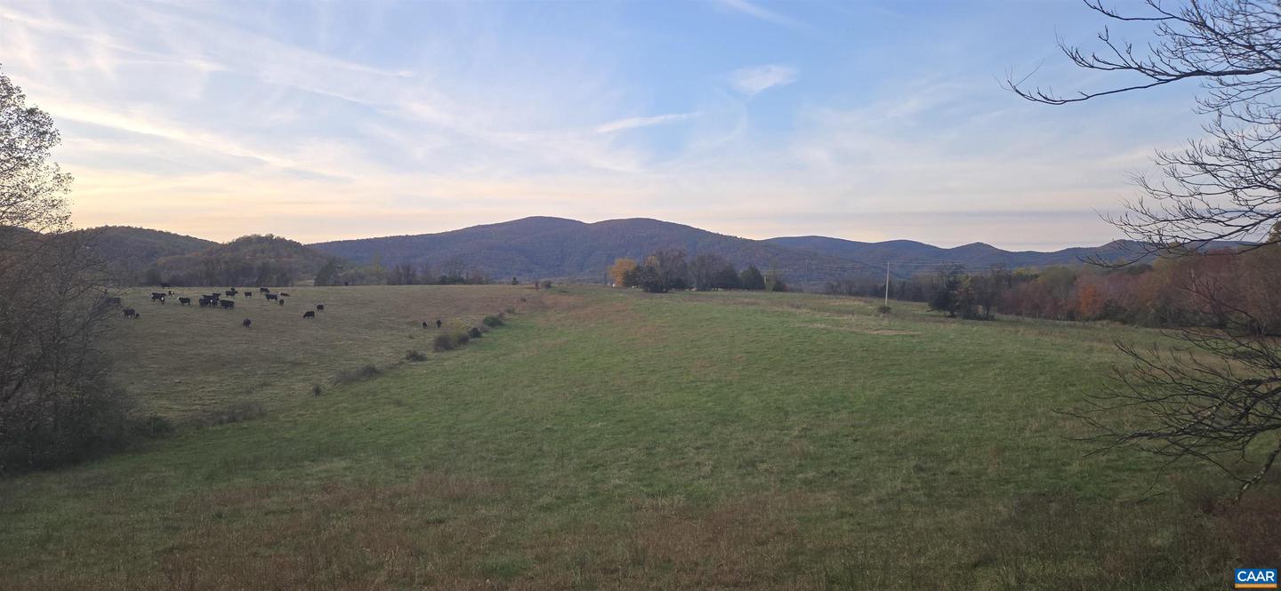 0 OCTONIA RD, STANARDSVILLE, Virginia 22973, ,Farm,For Sale,0 OCTONIA RD,670773 MLS # 670773