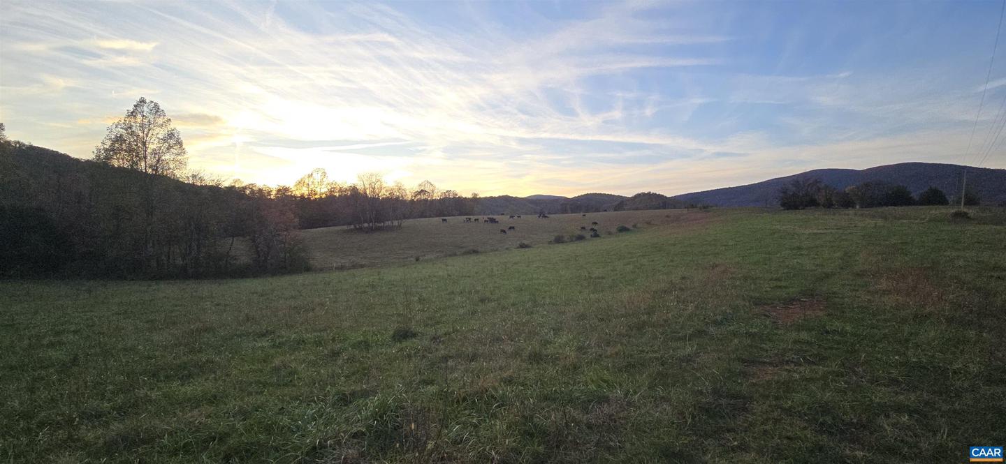 0 OCTONIA RD, STANARDSVILLE, Virginia 22973, ,Farm,For Sale,0 OCTONIA RD,670773 MLS # 670773