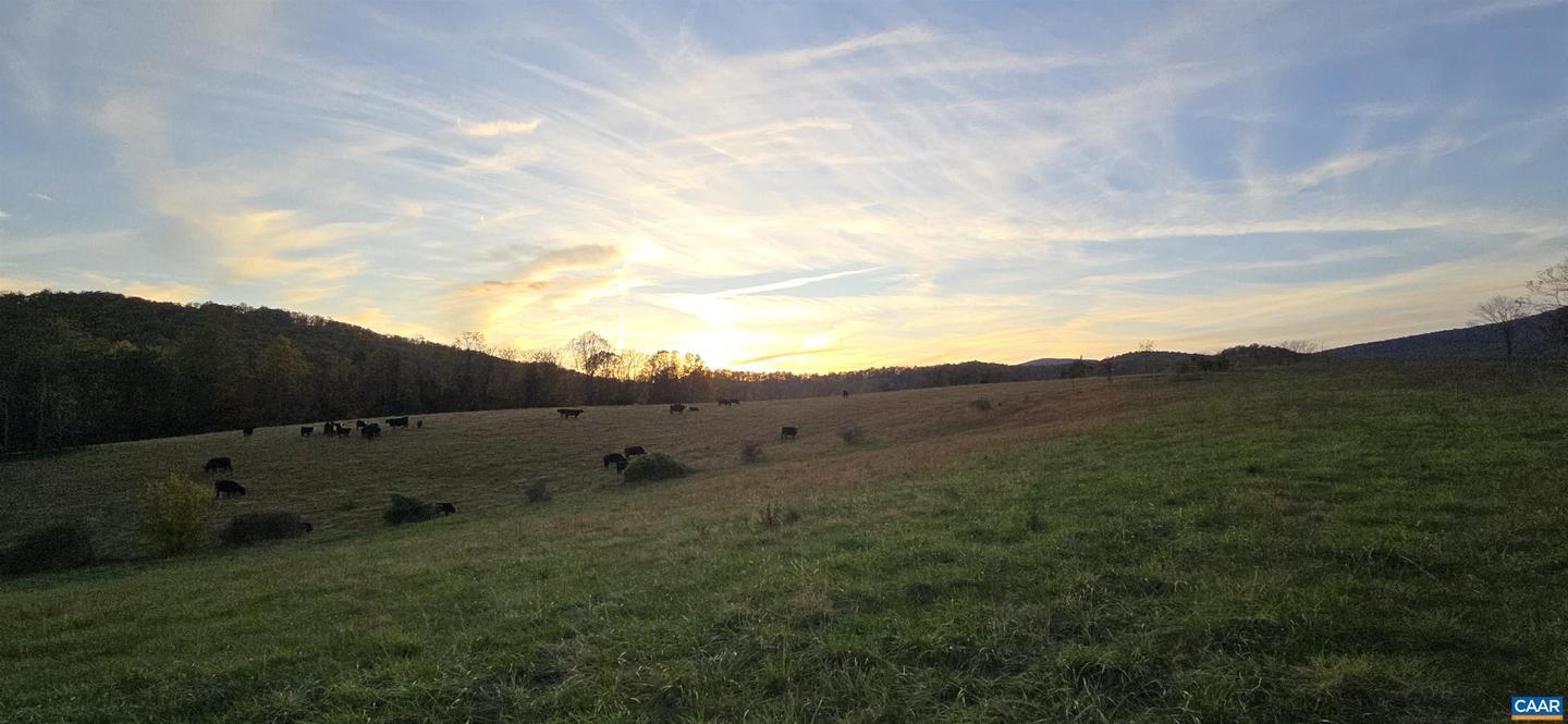 0 OCTONIA RD, STANARDSVILLE, Virginia 22973, ,Farm,For Sale,0 OCTONIA RD,670773 MLS # 670773