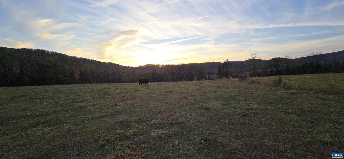 0 OCTONIA RD, STANARDSVILLE, Virginia 22973, ,Farm,For Sale,0 OCTONIA RD,670773 MLS # 670773