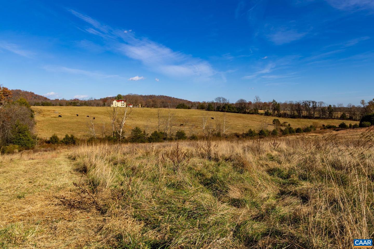 0 OCTONIA RD, STANARDSVILLE, Virginia 22973, ,Farm,For Sale,0 OCTONIA RD,670773 MLS # 670773 0 OCTONIA RD, STANARDSVILLE, Virginia 22973, ,Farm,For Sale,0 OCTONIA RD,670773 MLS # 670773